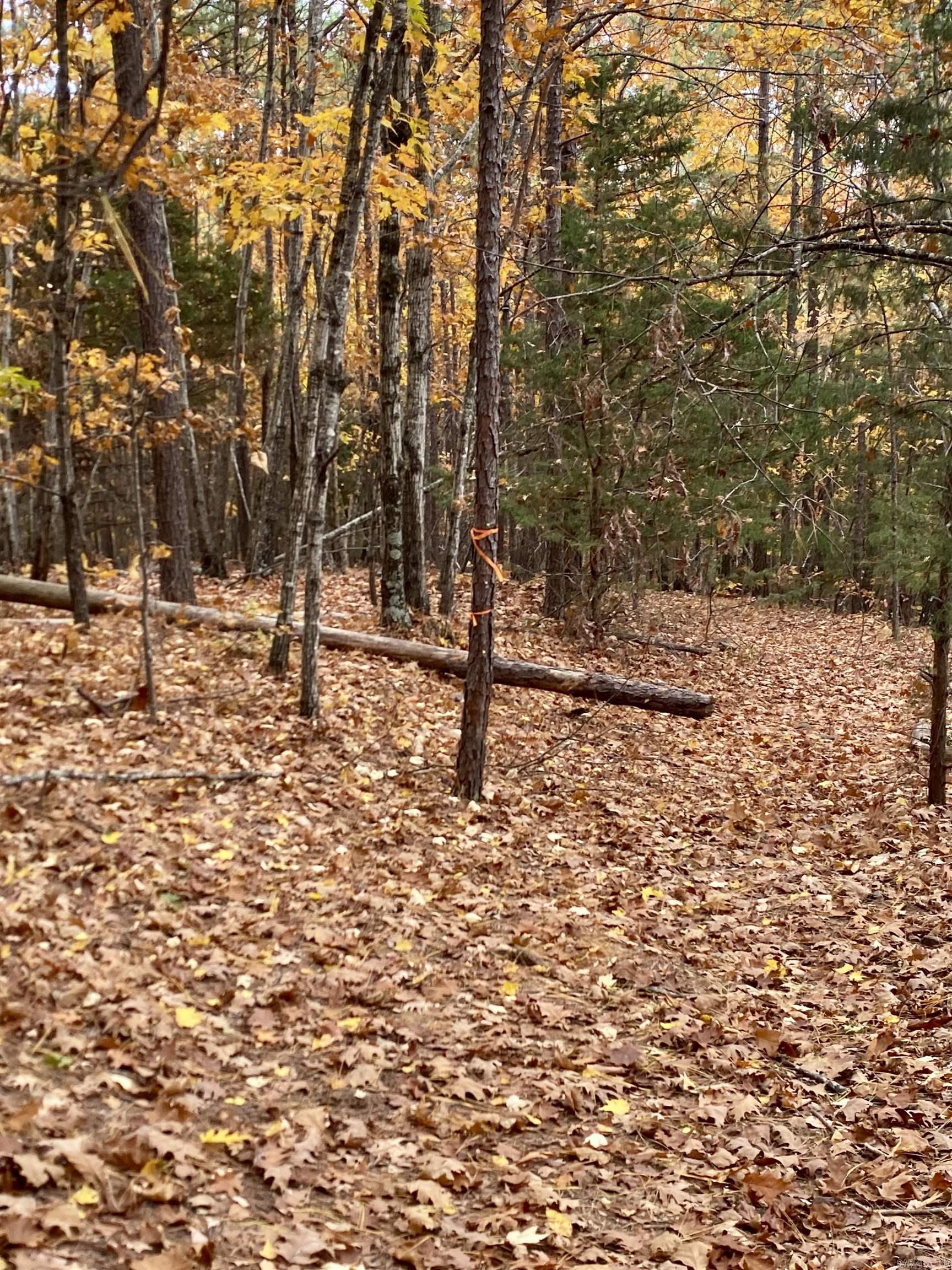 40 Acres +/- Off CR 4540  Ozone, AR