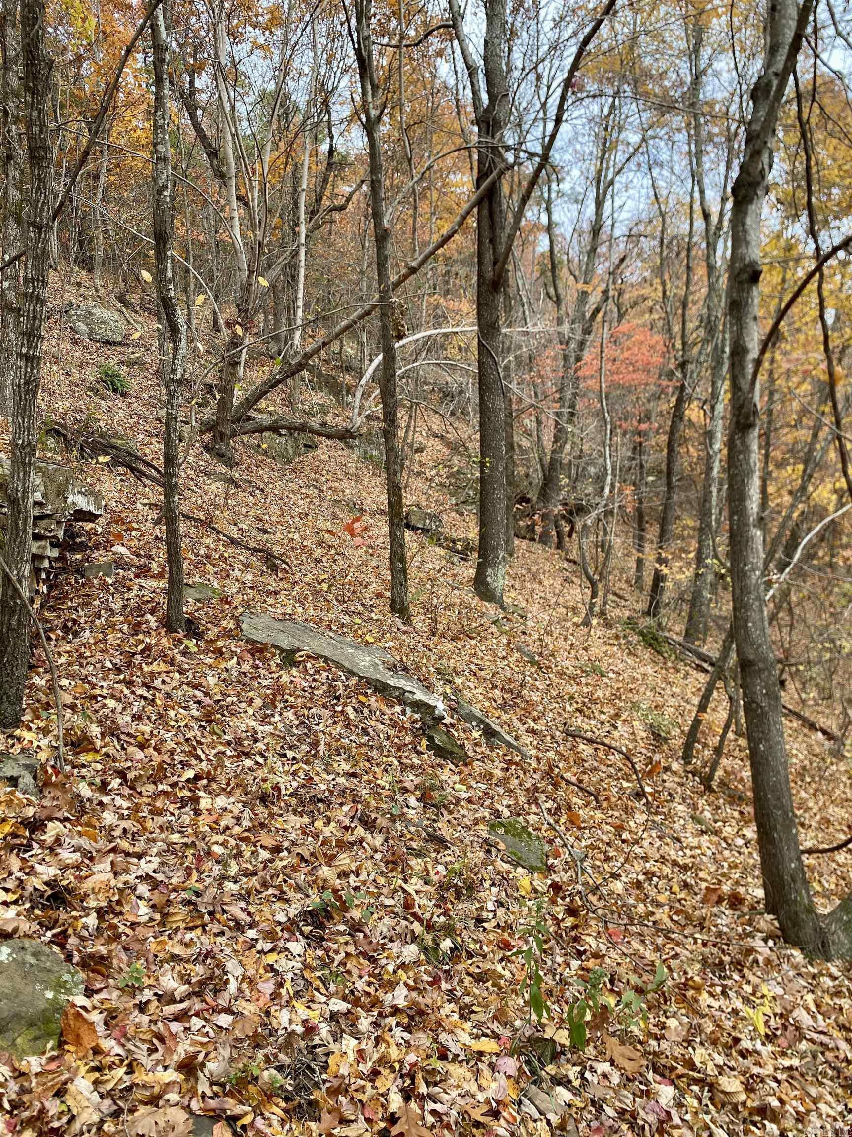 40 Acres +/- Off CR 4540  Ozone, AR