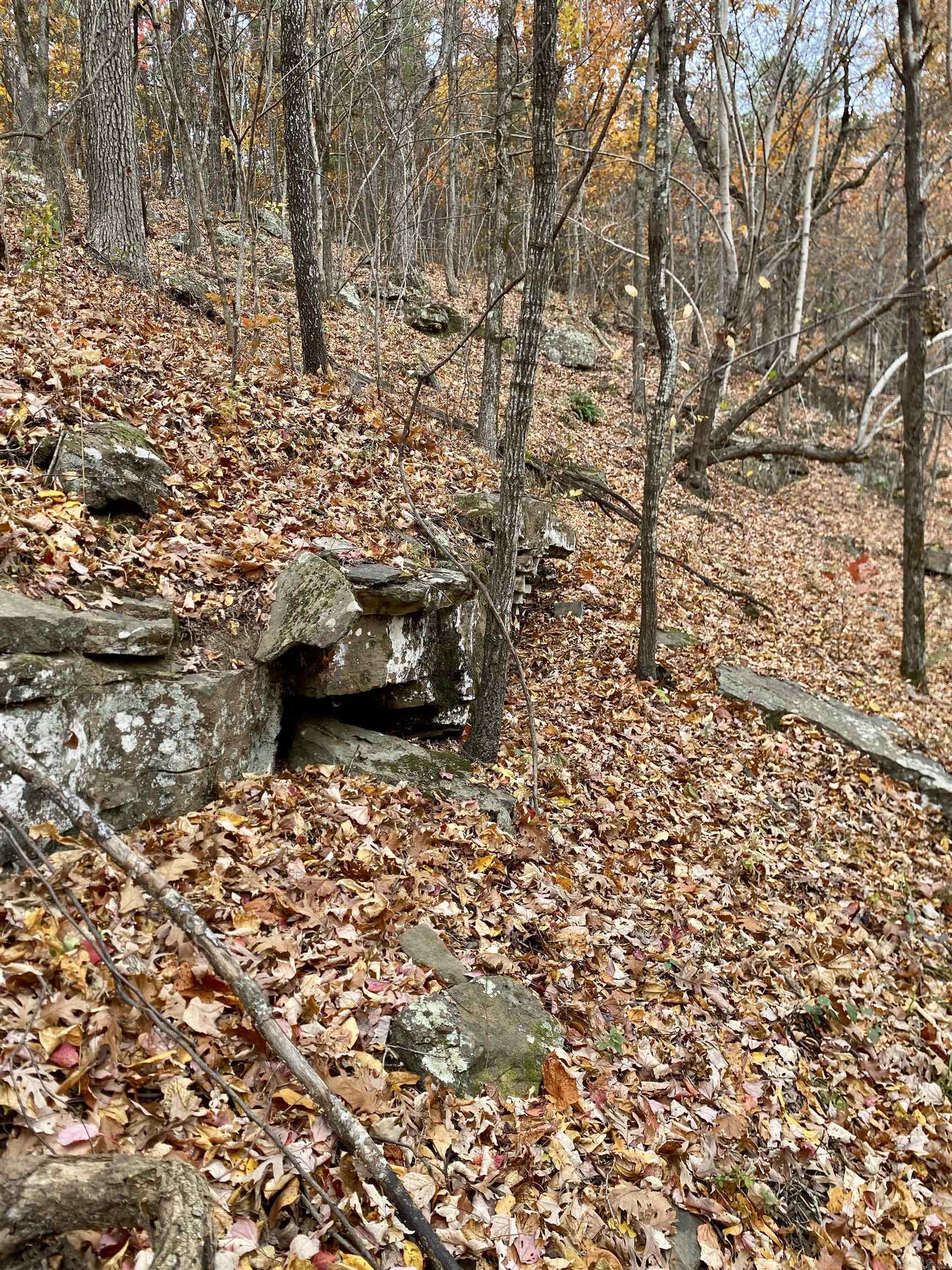 40 Acres +/- Off CR 4540  Ozone, AR