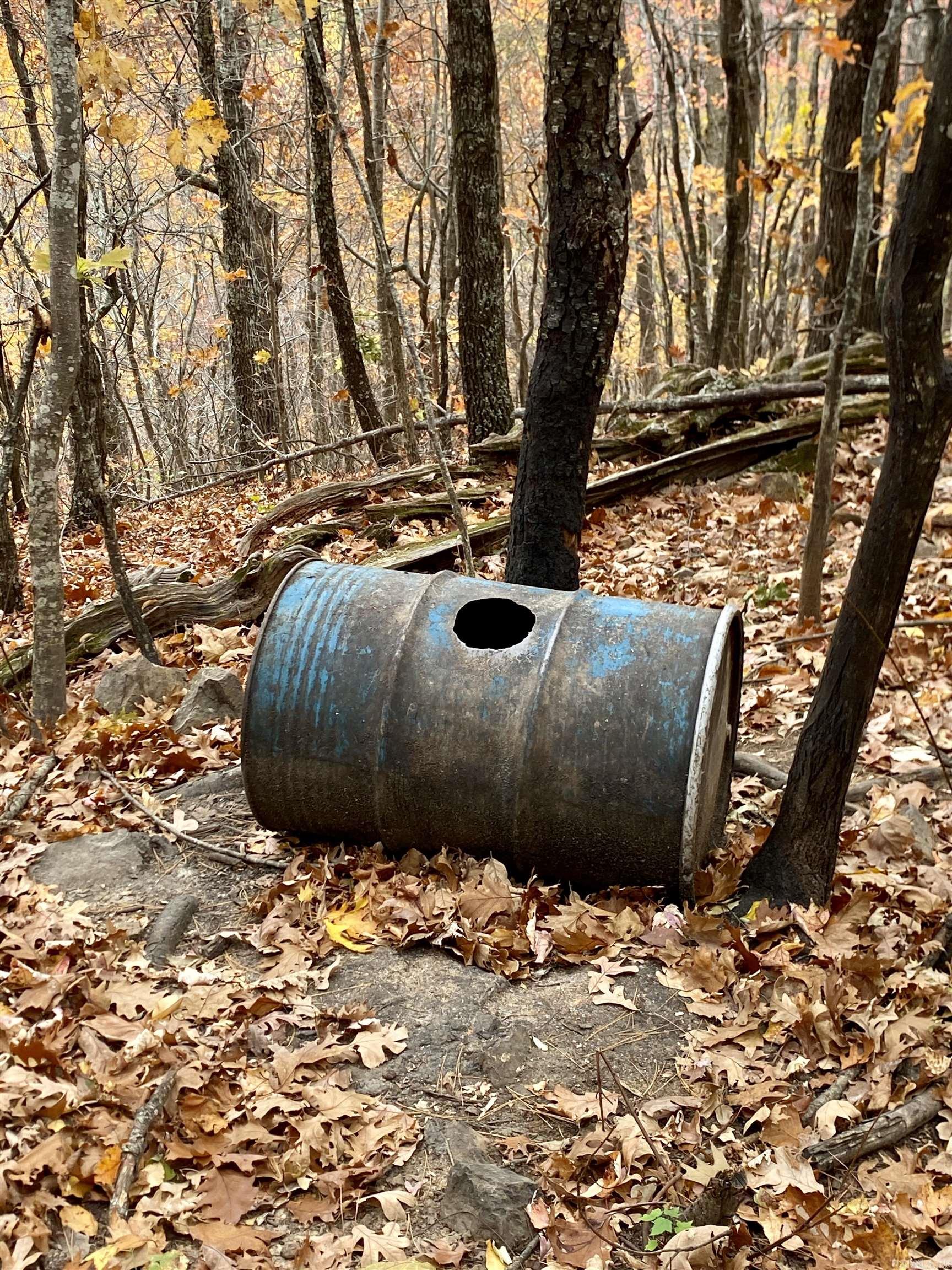 40 Acres +/- Off CR 4540  Ozone, AR