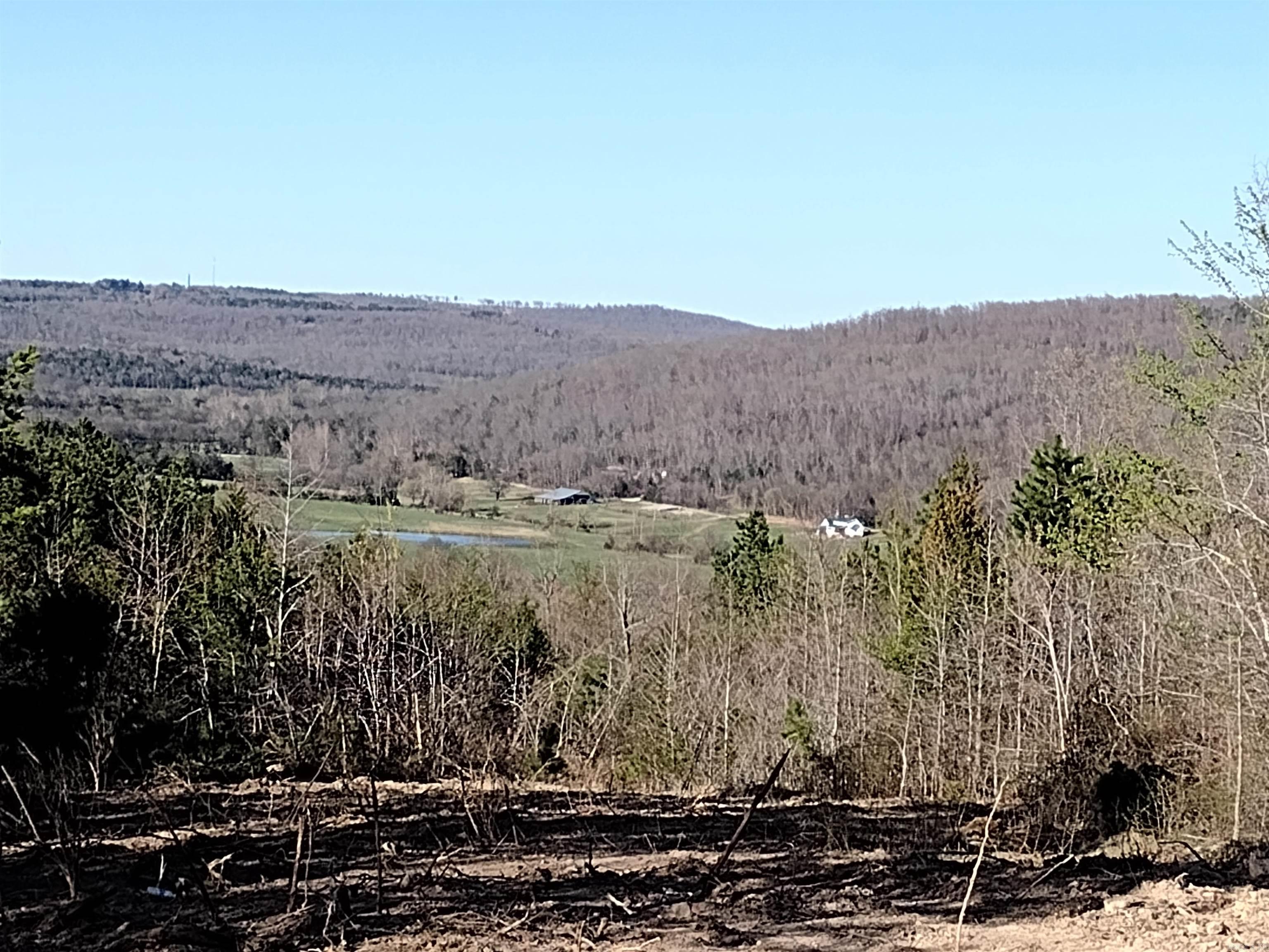 0000 Sunnyland Road  Mountain View, AR