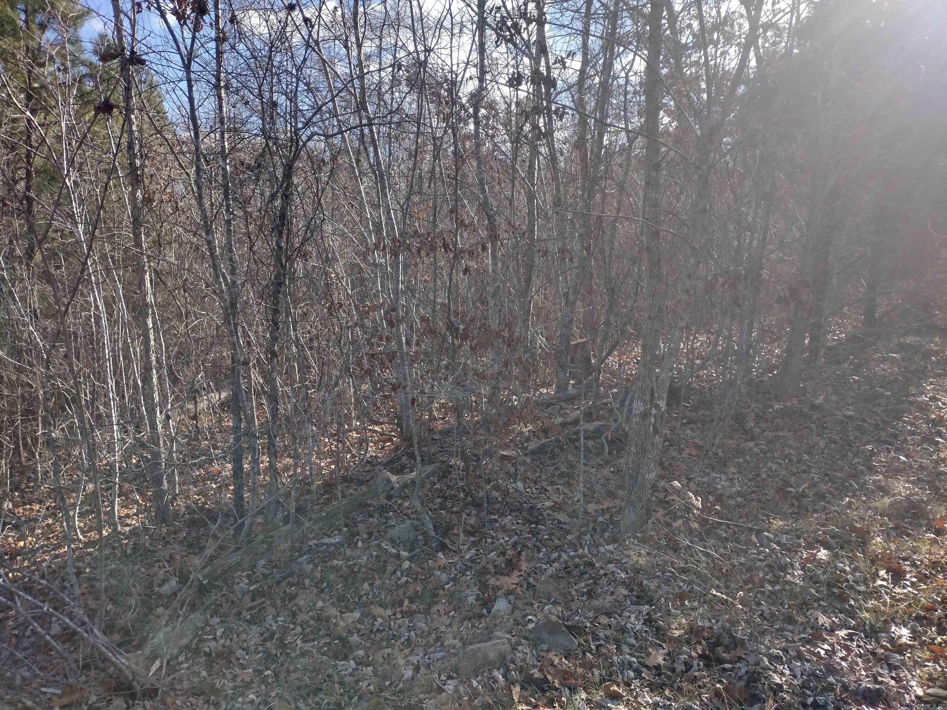 0000 Sunnyland Road  Mountain View, AR