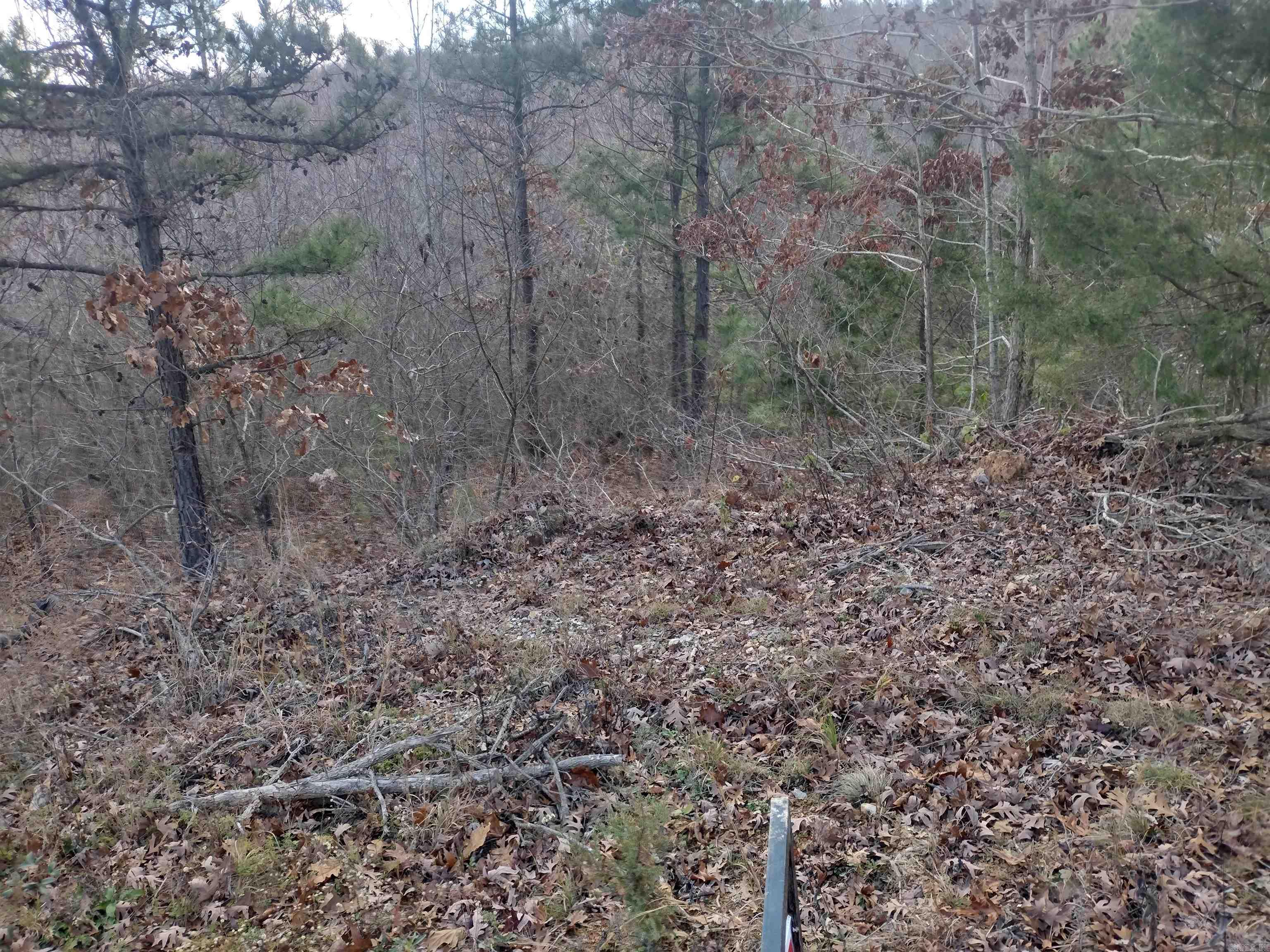 0000 Sunnyland Road  Mountain View, AR