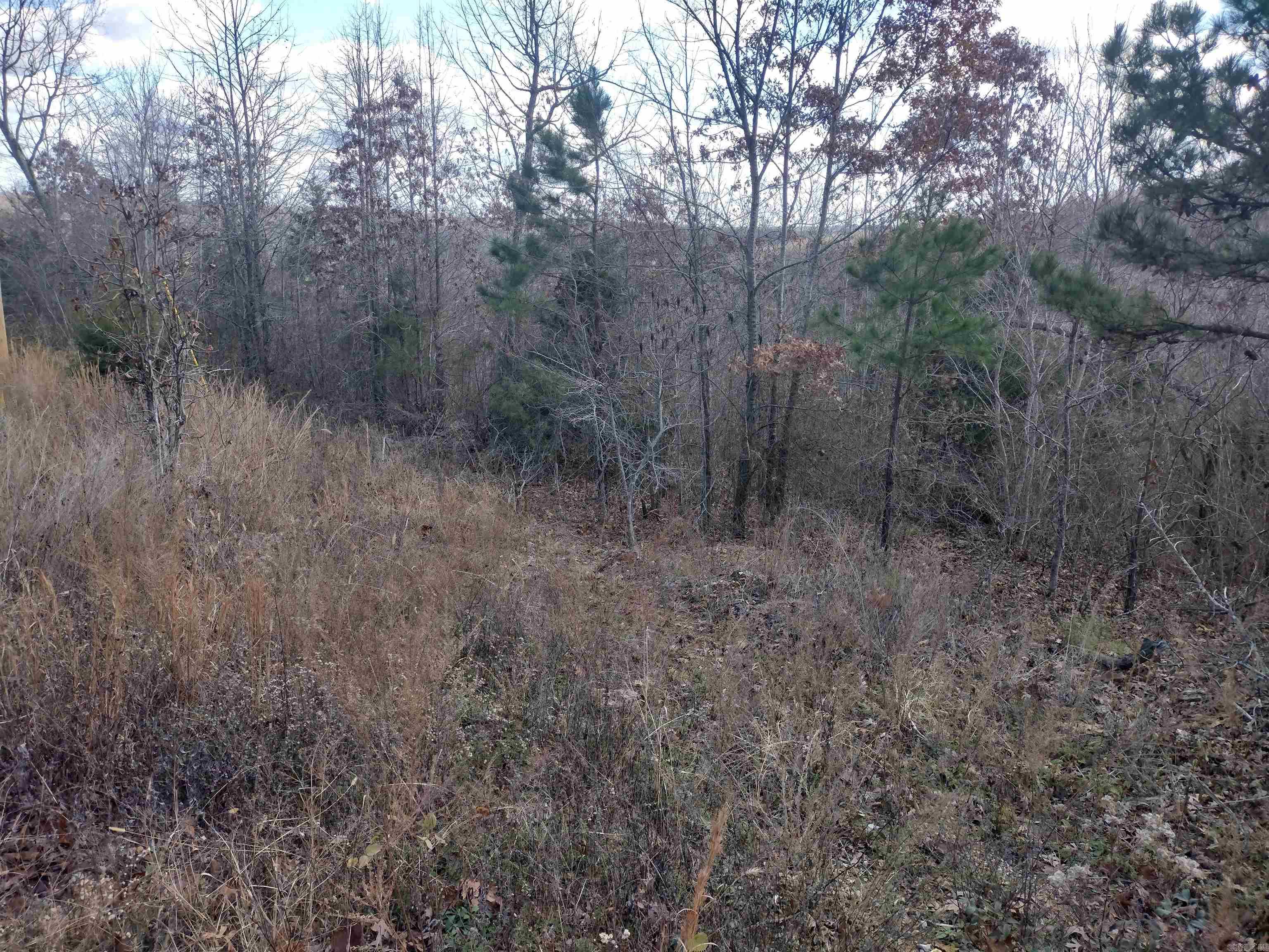 0000 Sunnyland Road  Mountain View, AR