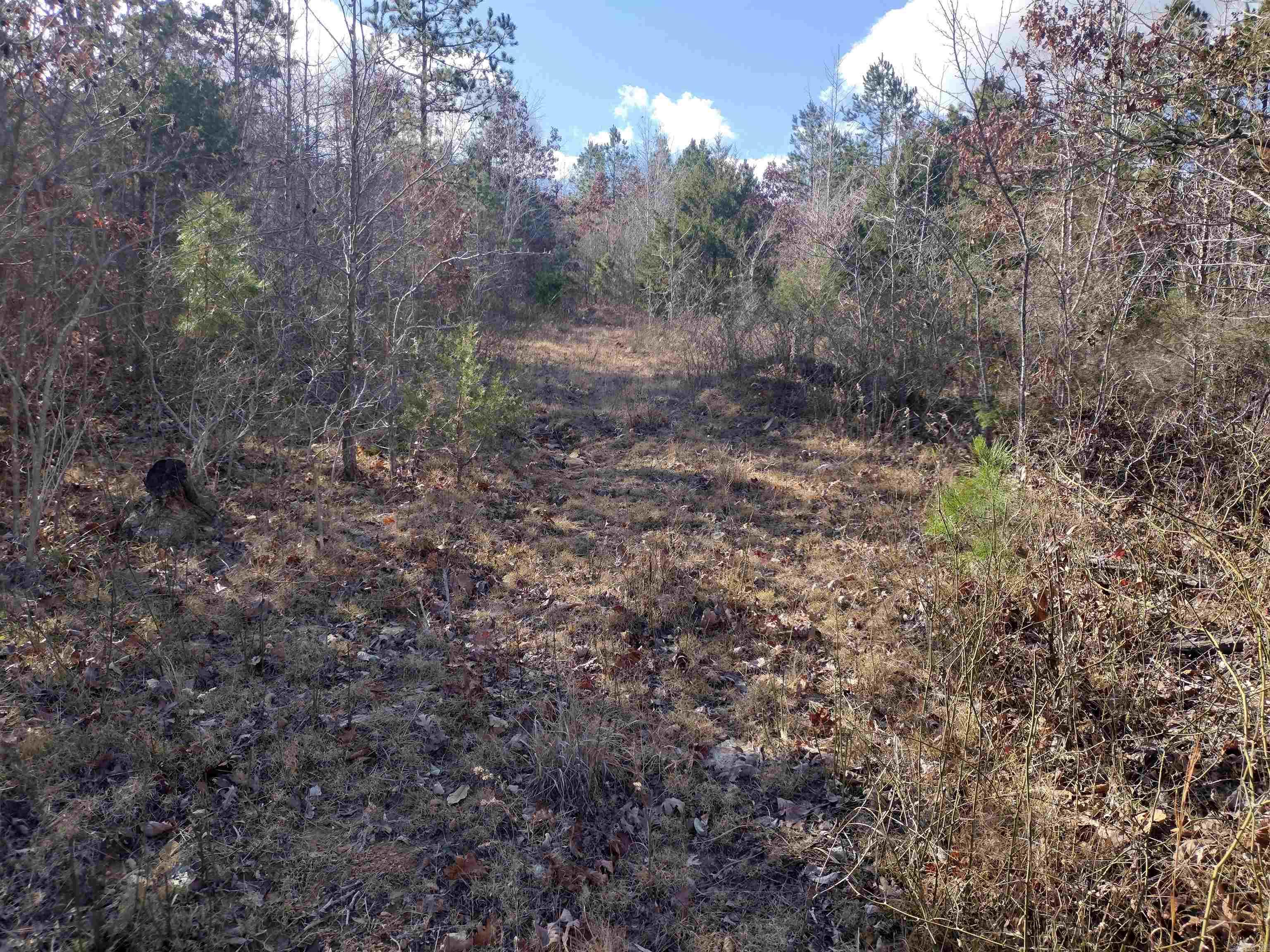 0000 Sunnyland Road  Mountain View, AR