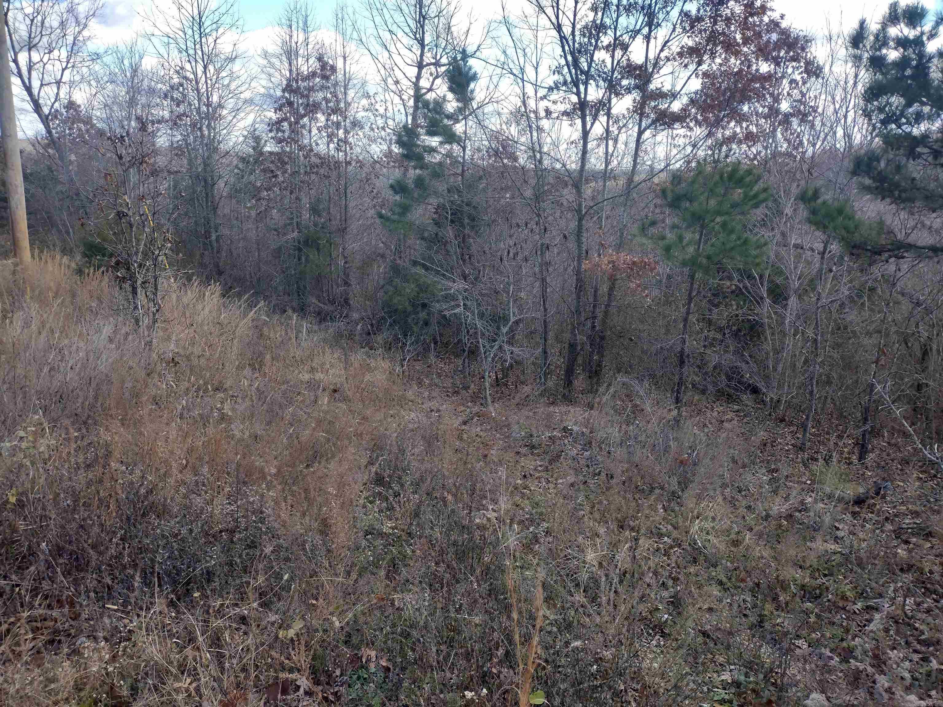 0000 Sunnyland Road  Mountain View, AR