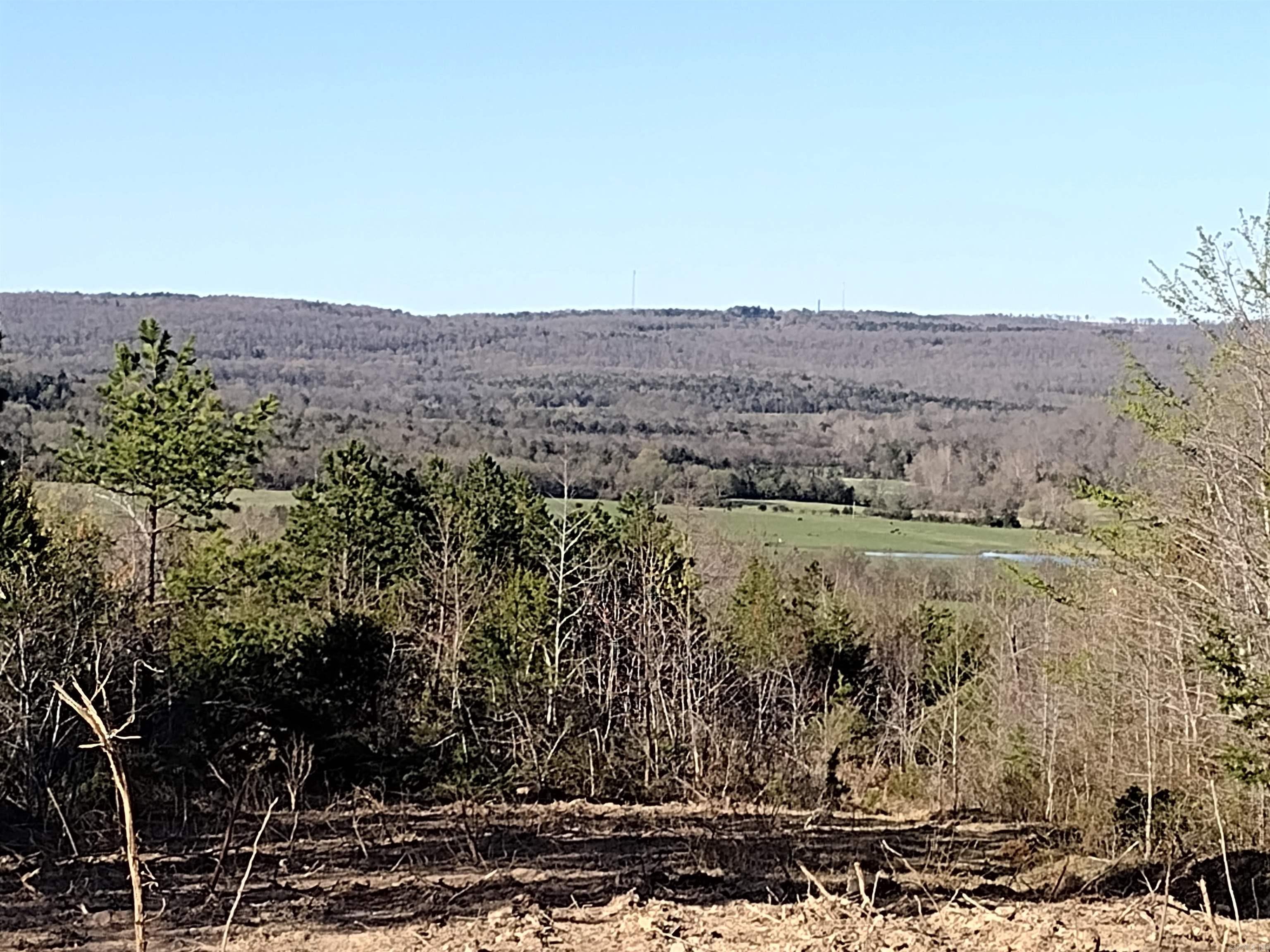 0000 Sunnyland Road  Mountain View, AR