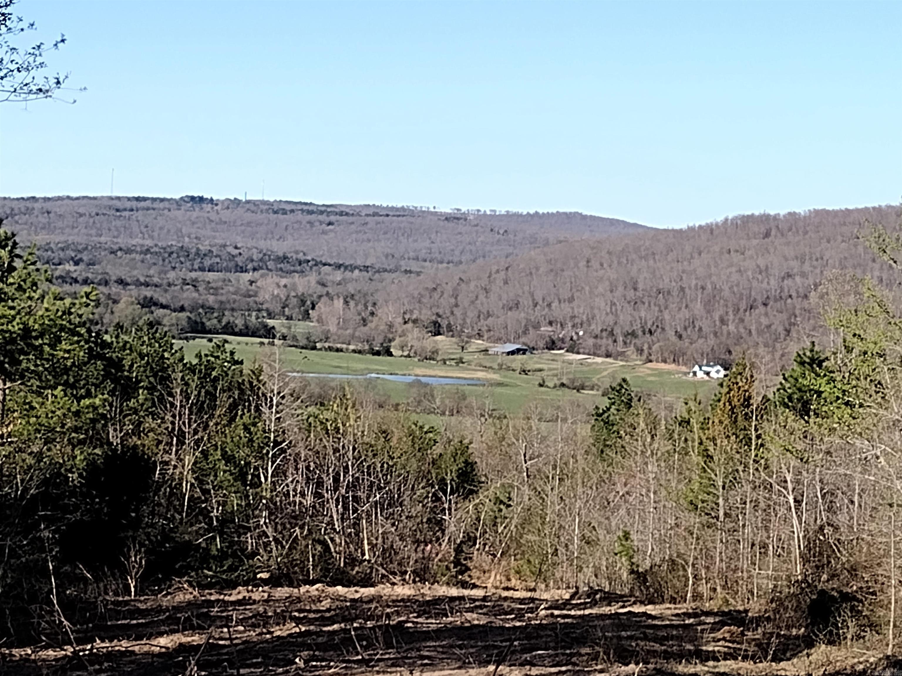 0000 Sunnyland Road  Mountain View, AR