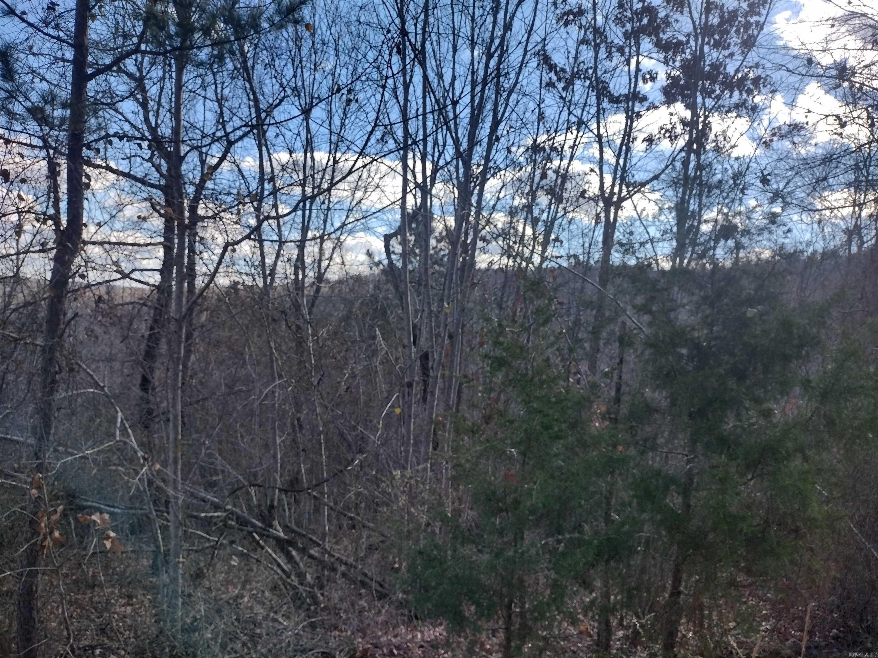 0000 Sunnyland Road  Mountain View, AR