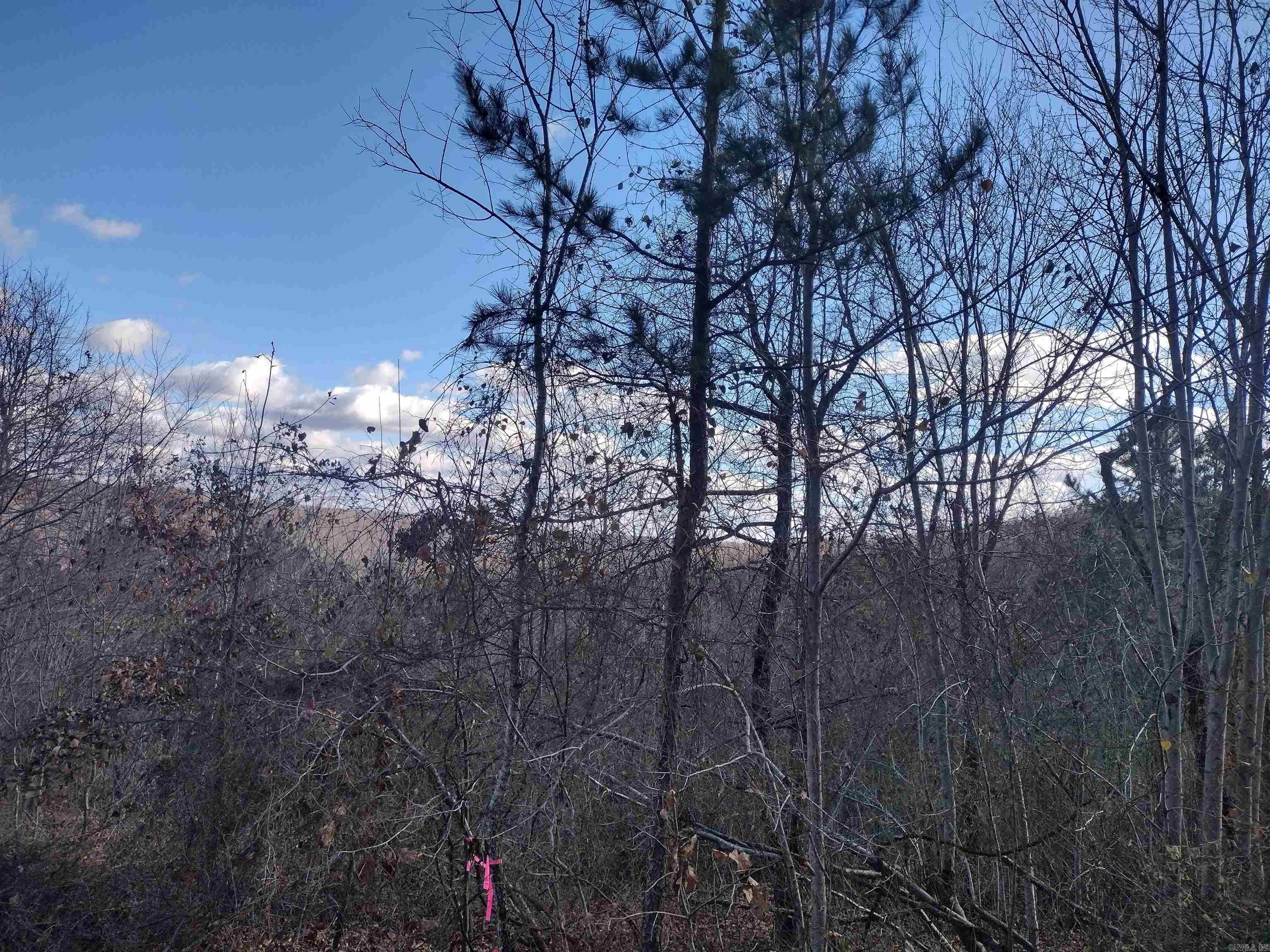 0000 Sunnyland Road  Mountain View, AR