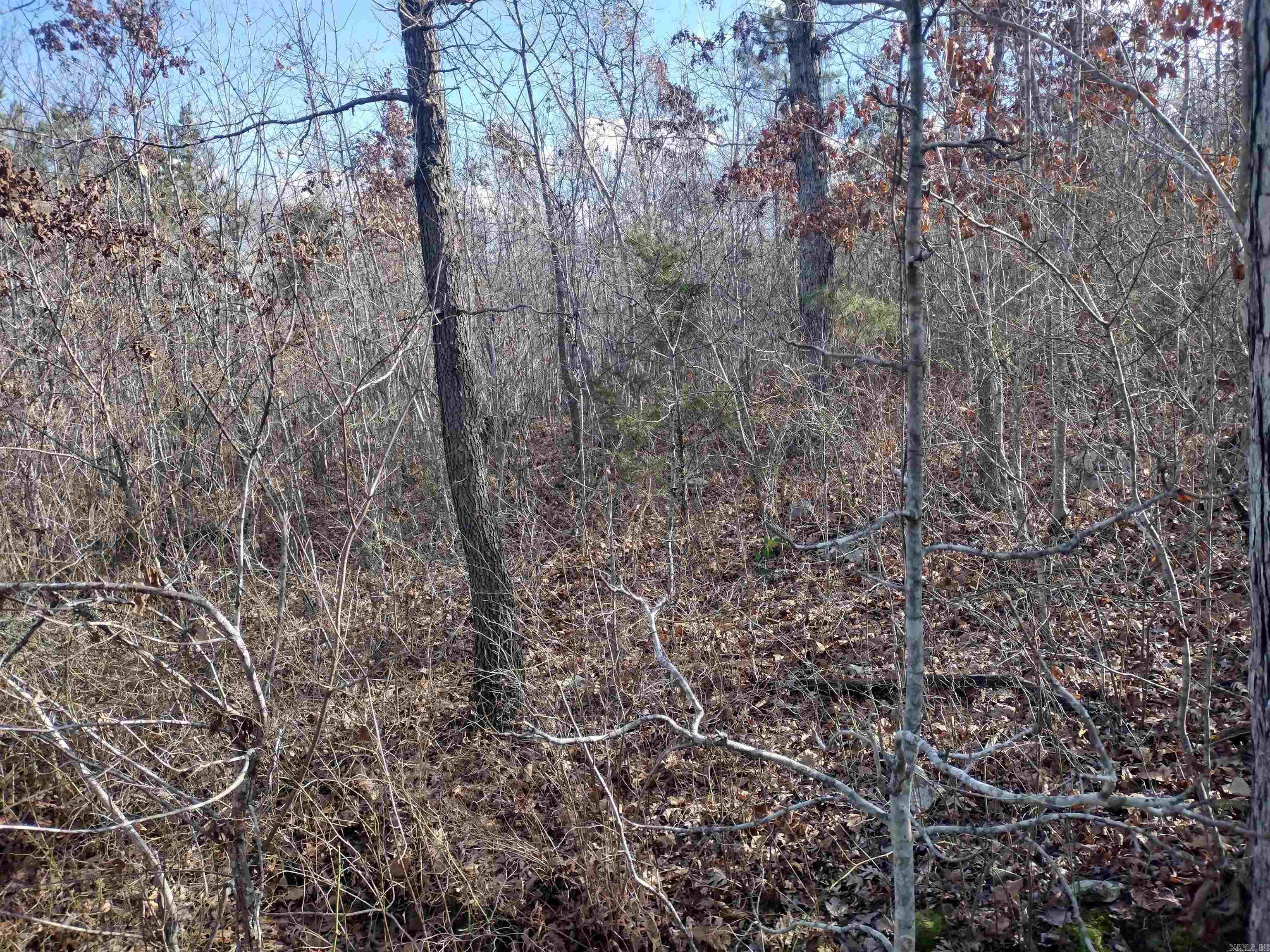 0000 Sunnyland Road  Mountain View, AR