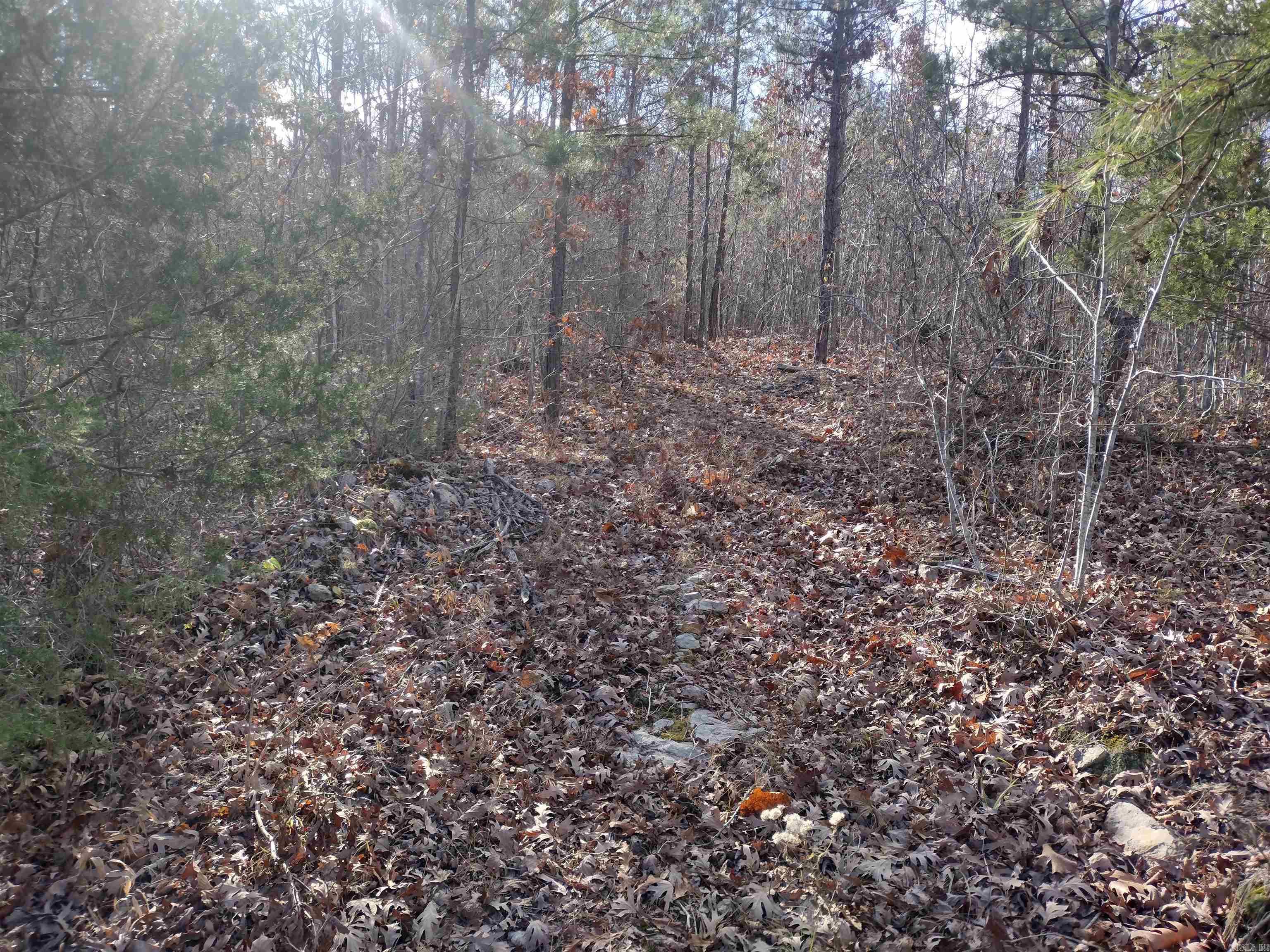 0000 Sunnyland Road  Mountain View, AR