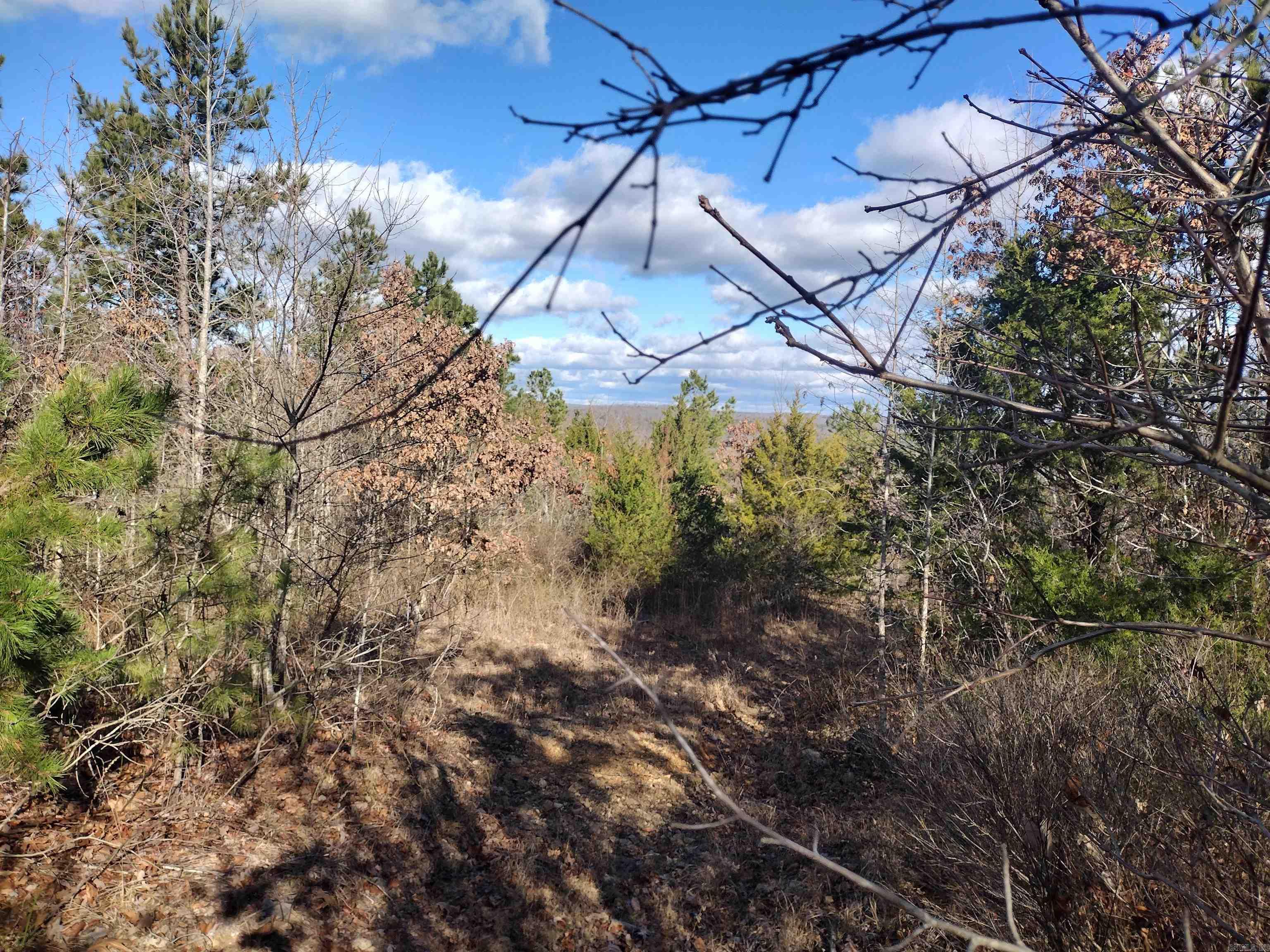 0000 Sunnyland Road  Mountain View, AR