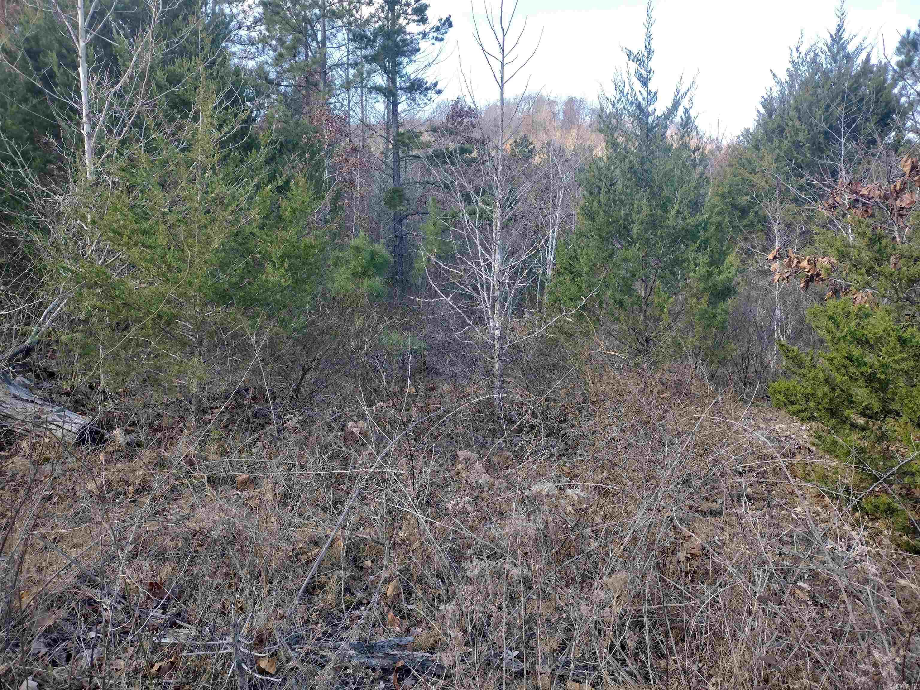 0000 Sunnyland Road  Mountain View, AR