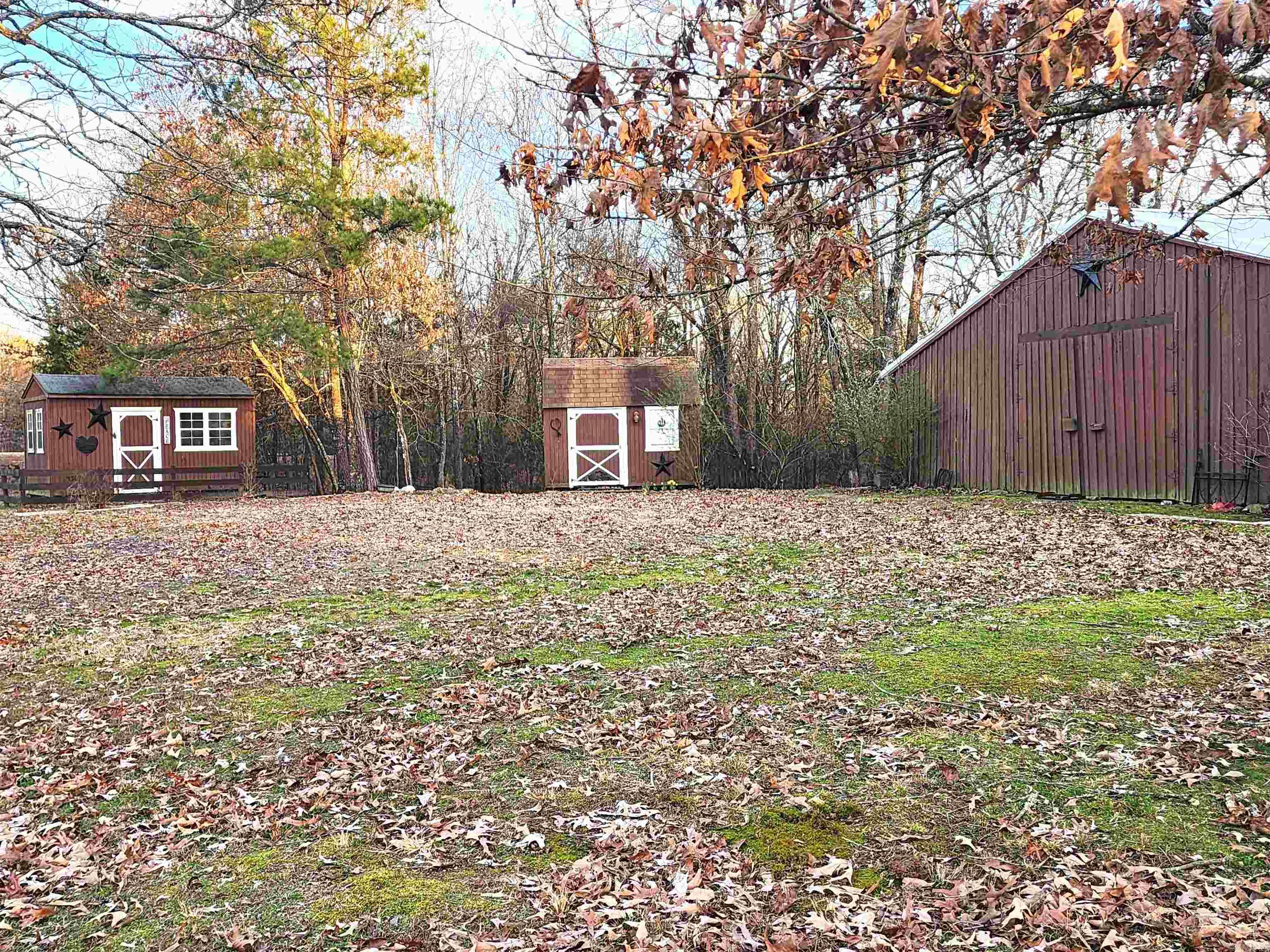 482 Polk Road 23  Cove, AR