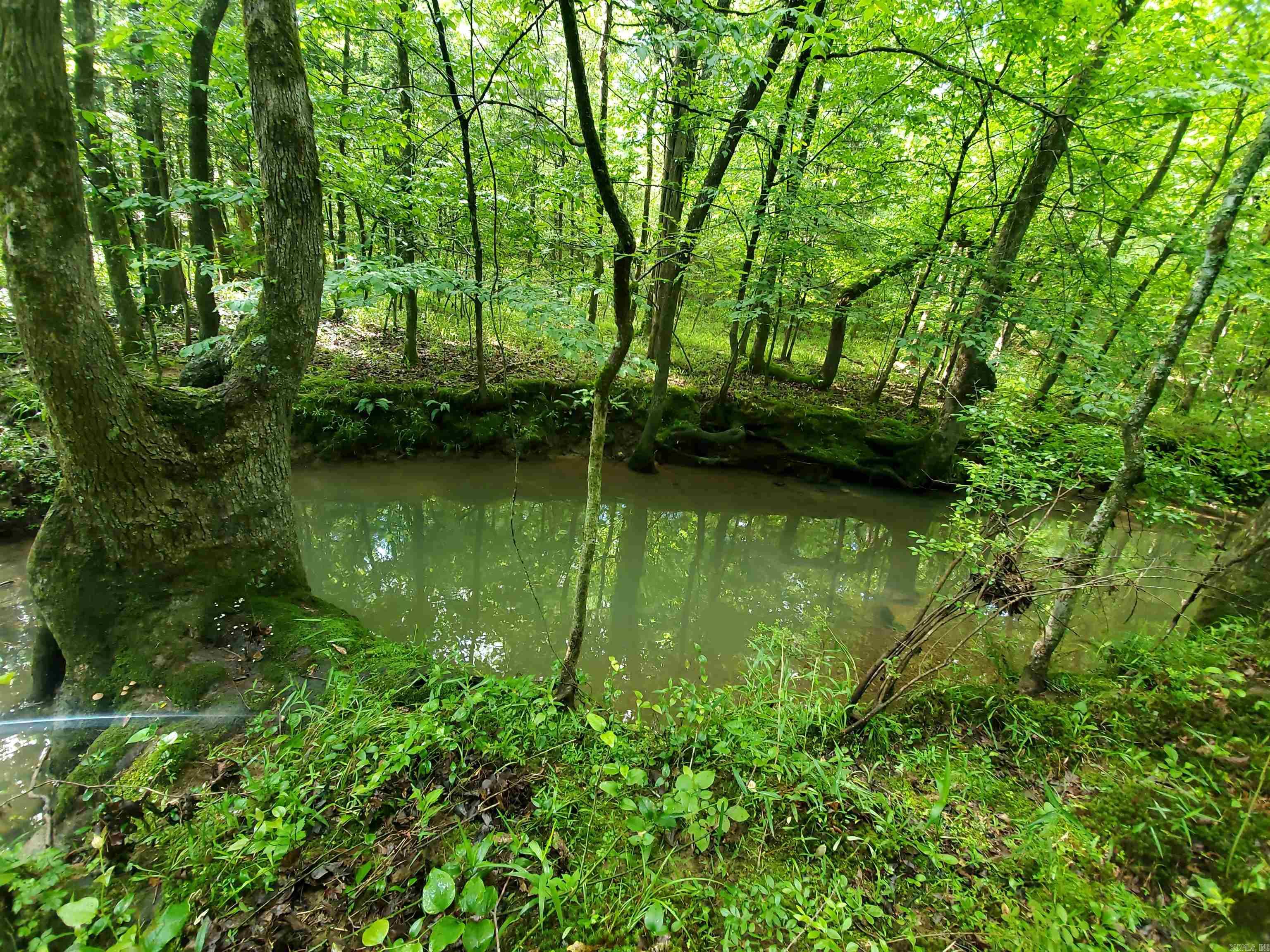 482 Polk Road 23  Cove, AR