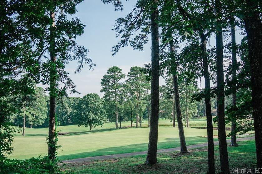 1 Ensenada  Hot Springs Village, AR