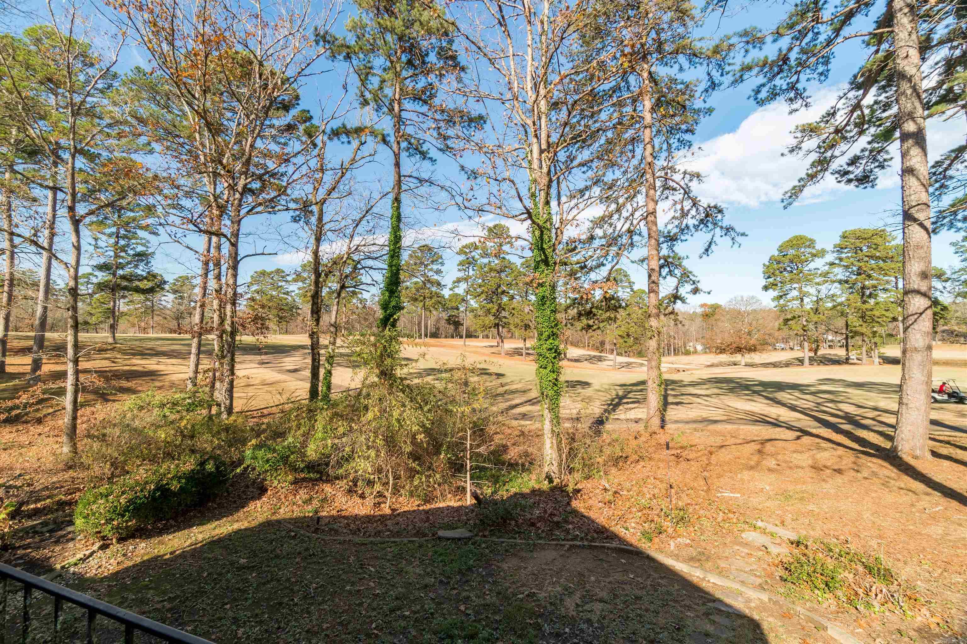 1 Ensenada  Hot Springs Village, AR