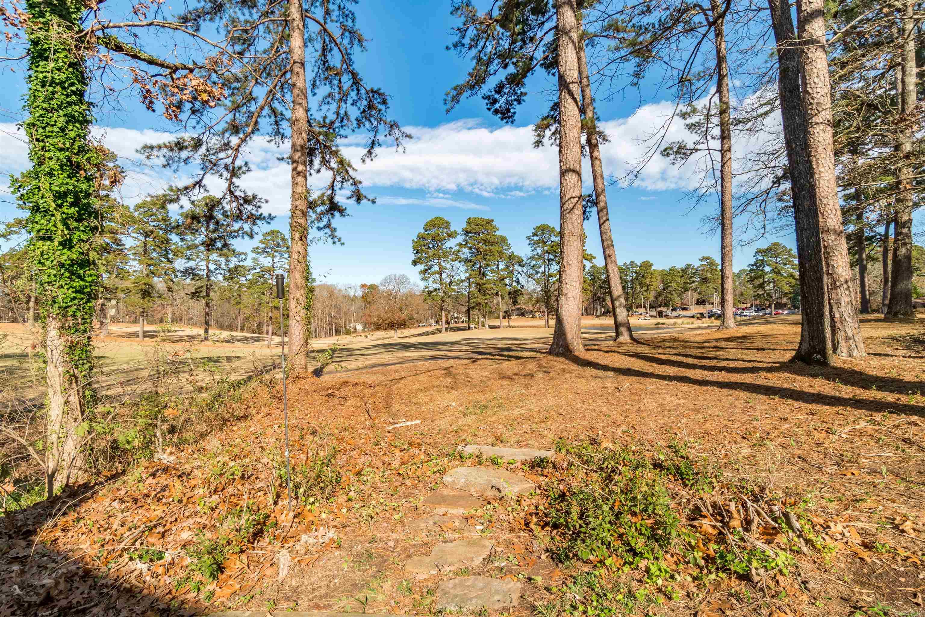 1 Ensenada  Hot Springs Village, AR