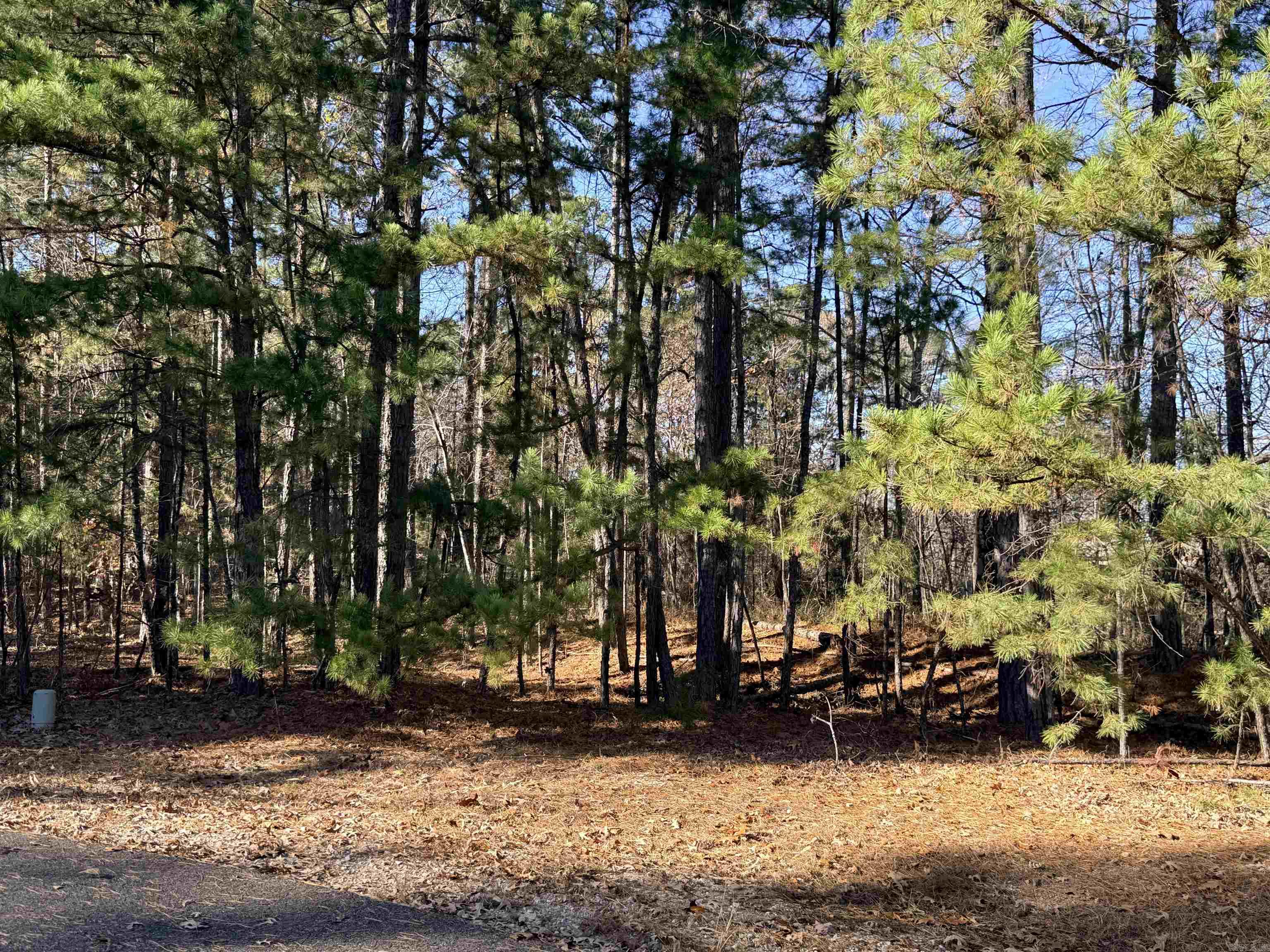 00 Divino  Hot Springs Village, AR