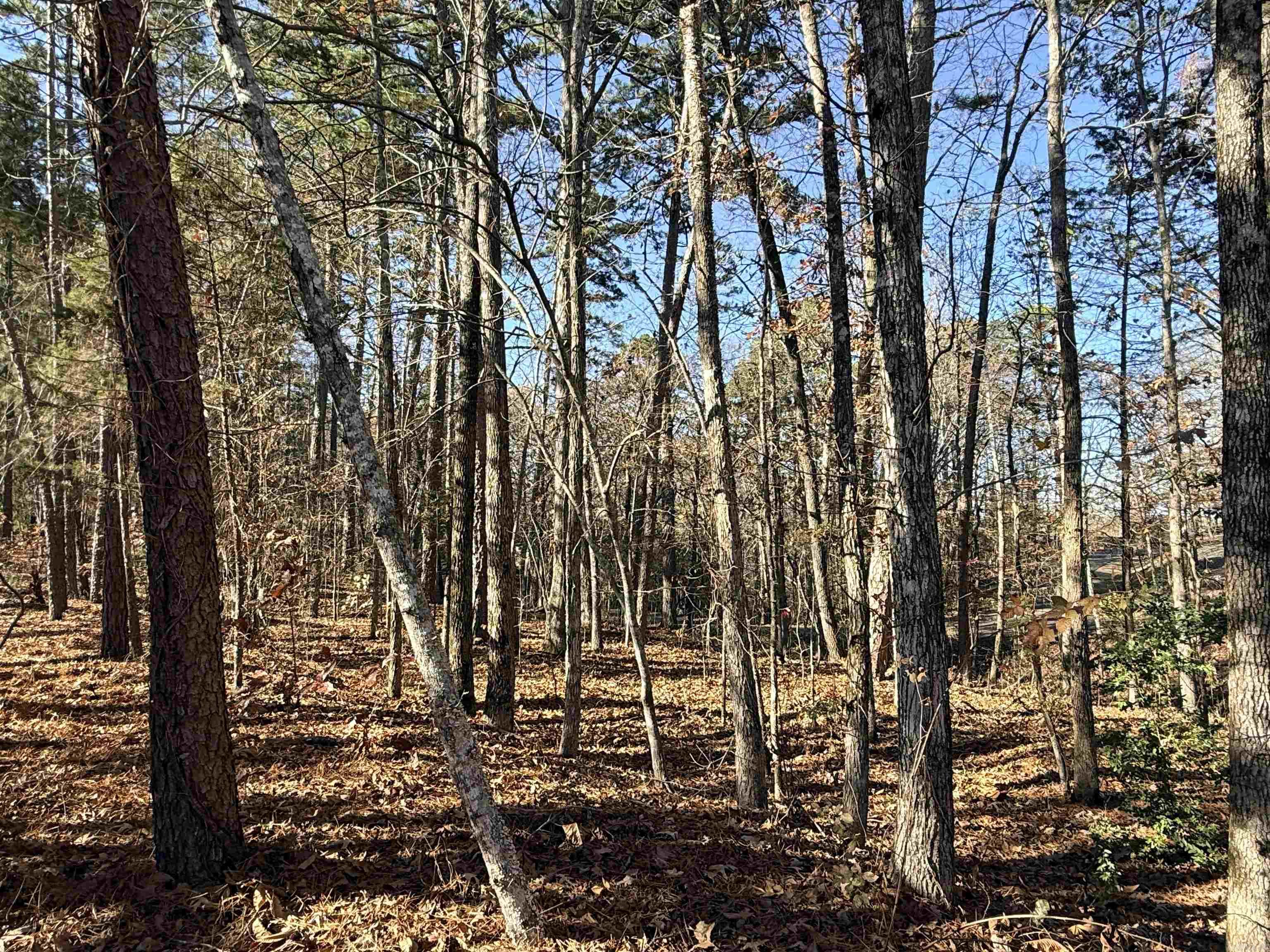 00 Divino  Hot Springs Village, AR