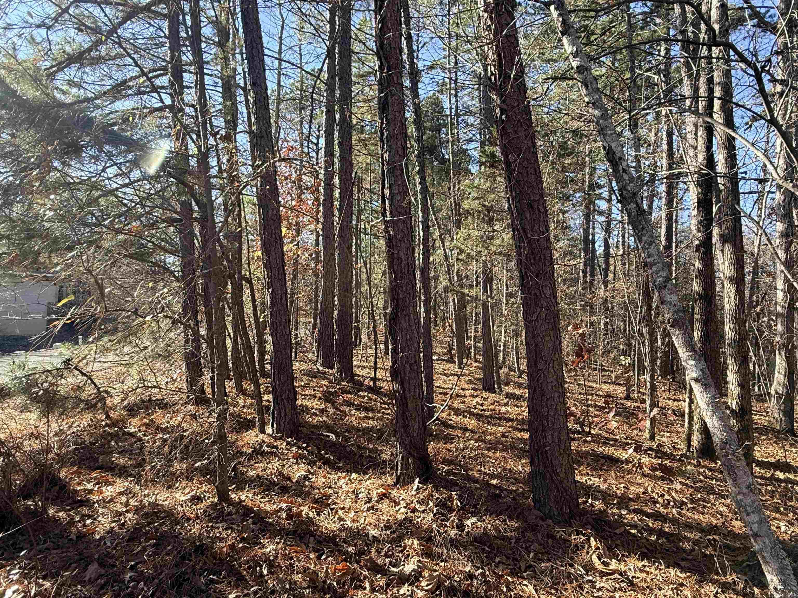 00 Divino  Hot Springs Village, AR