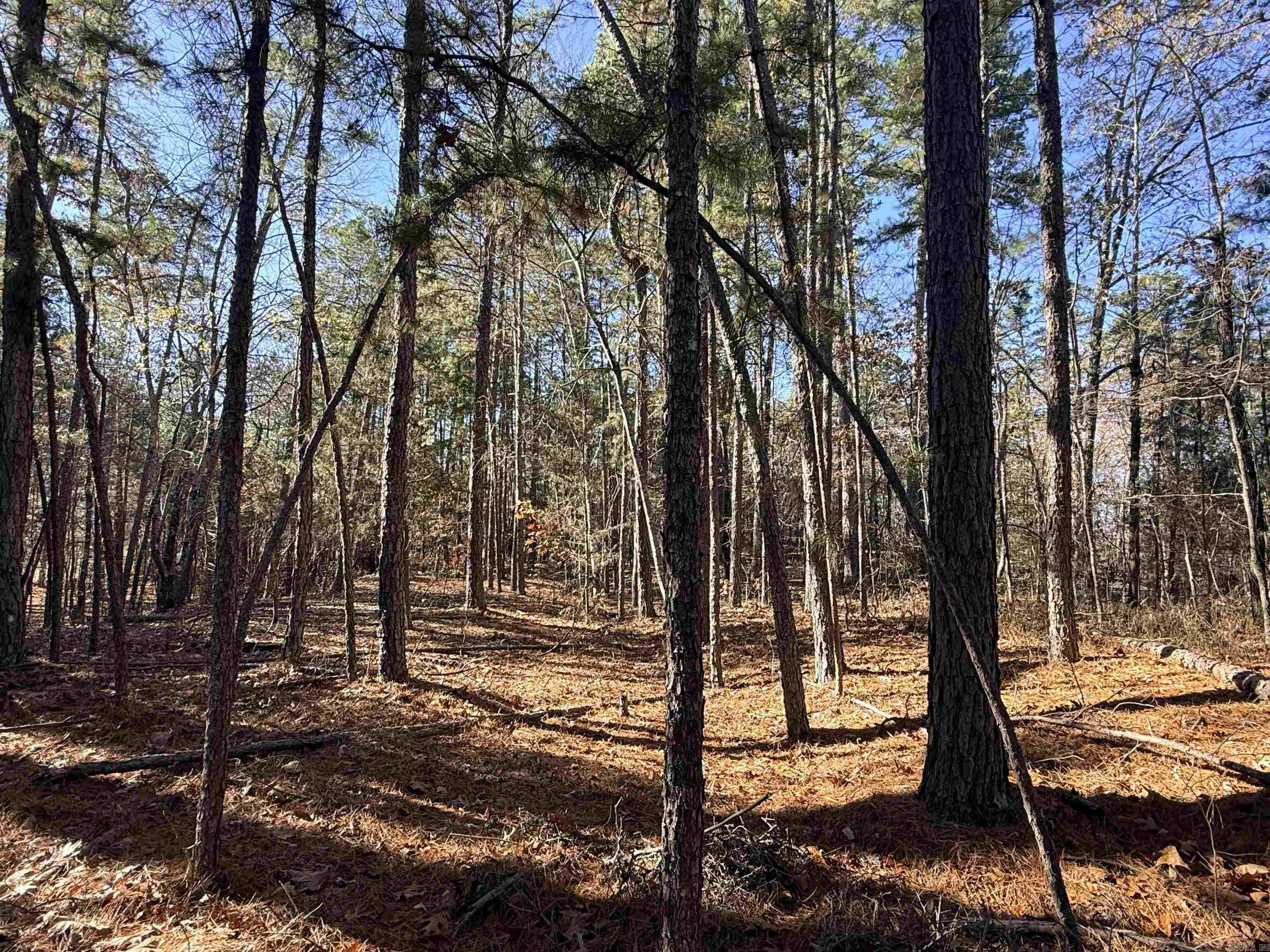 00 Divino  Hot Springs Village, AR