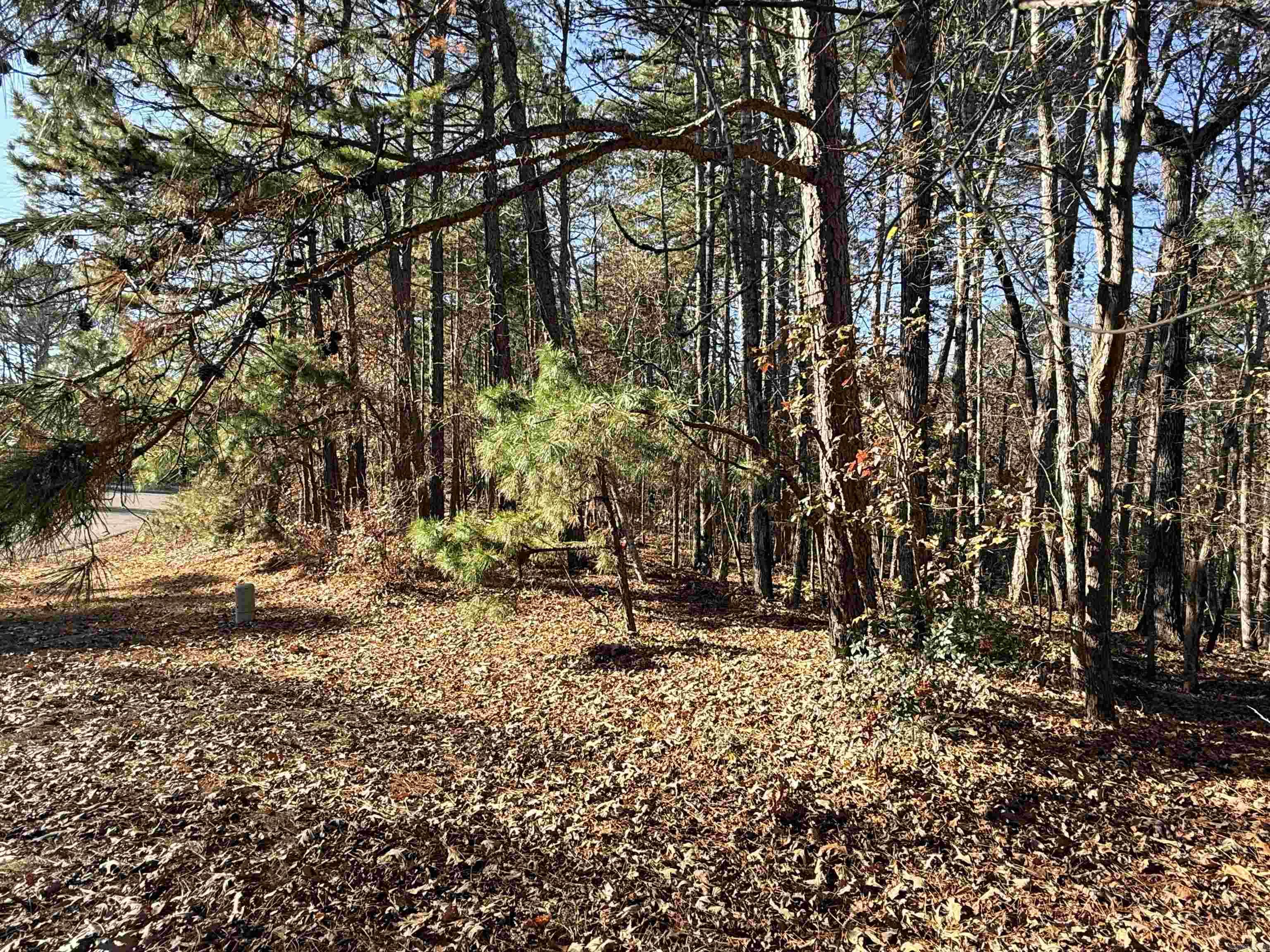 00 Divino  Hot Springs Village, AR