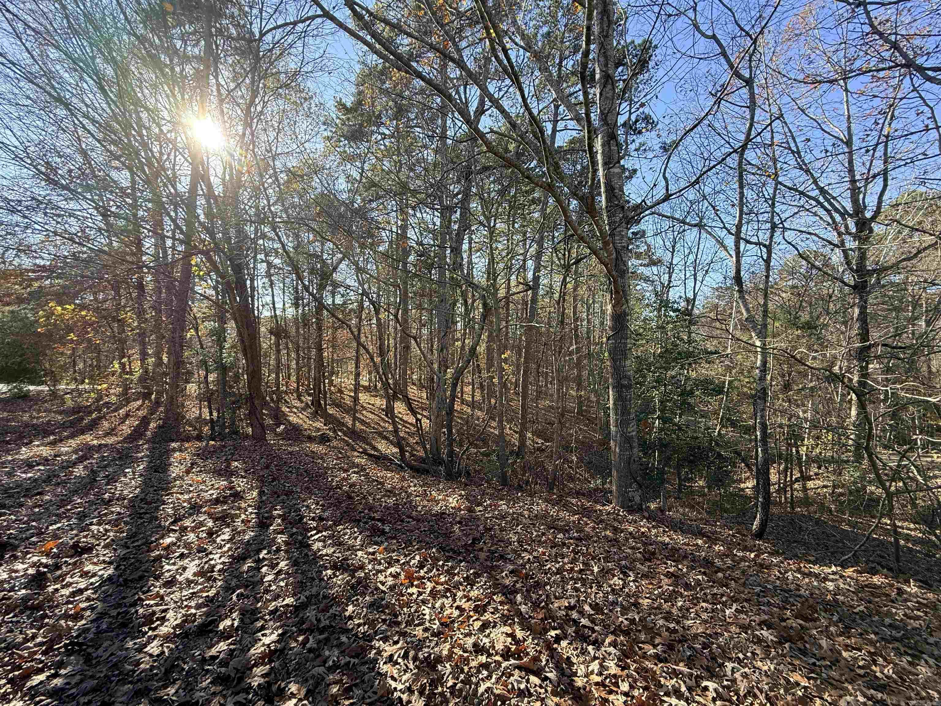 00 Divino  Hot Springs Village, AR