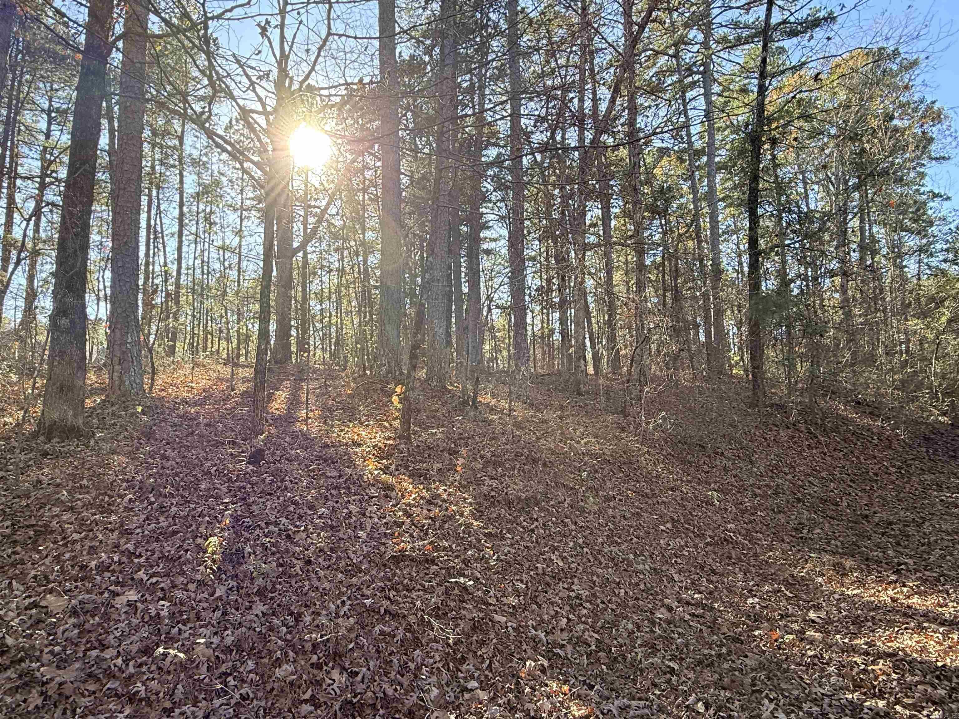 00 Divino  Hot Springs Village, AR