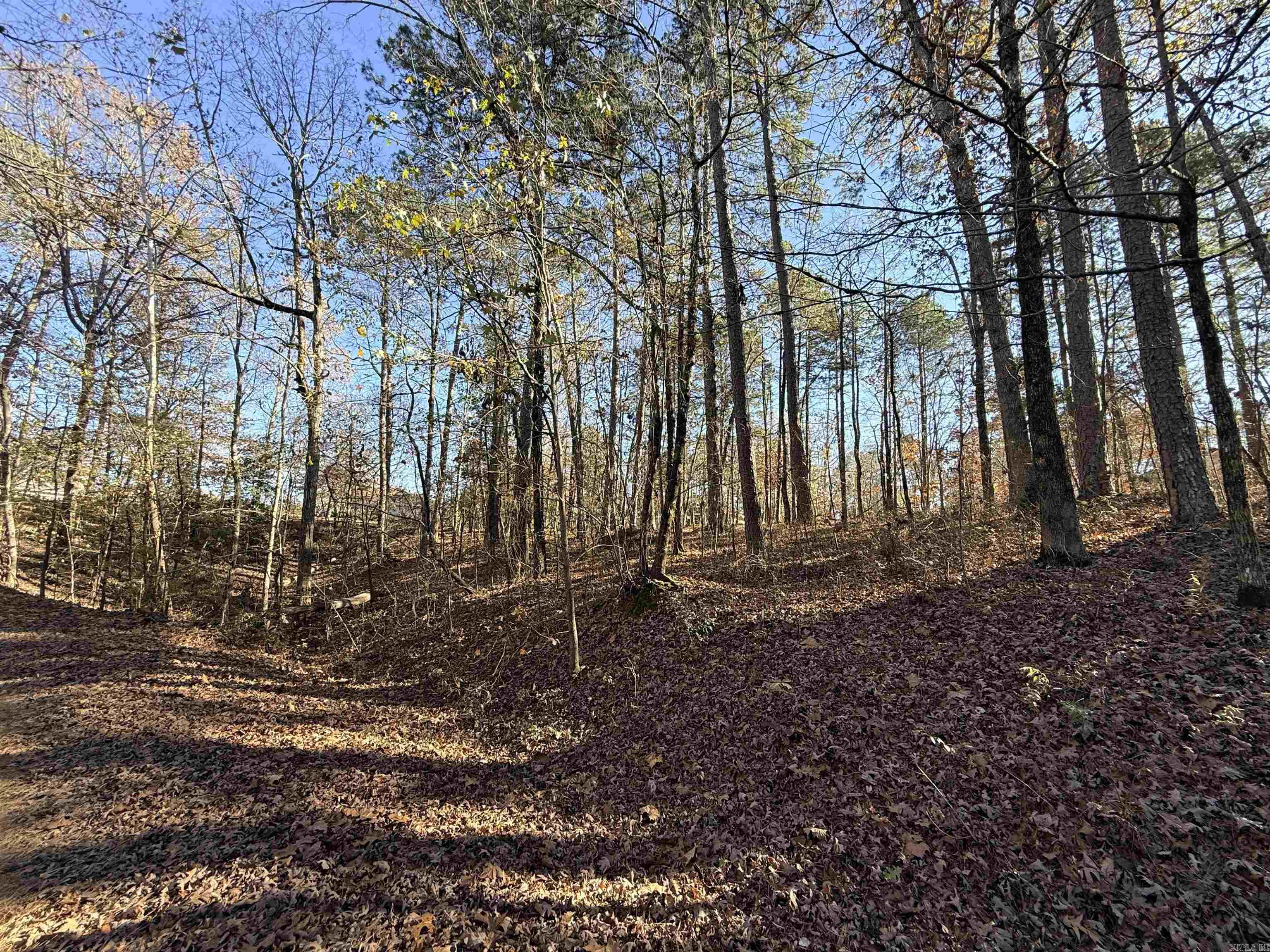 00 Divino  Hot Springs Village, AR