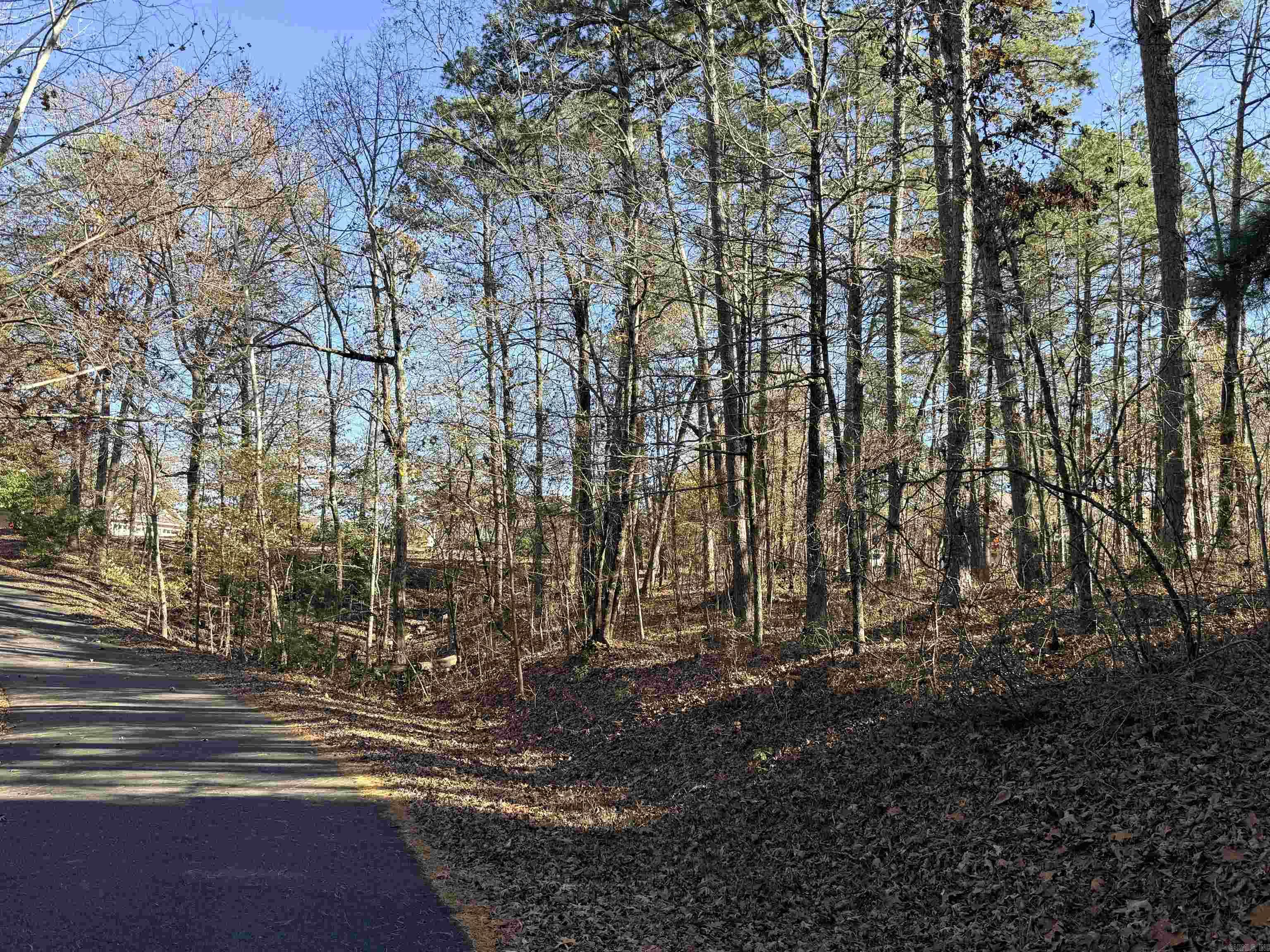 00 Divino  Hot Springs Village, AR