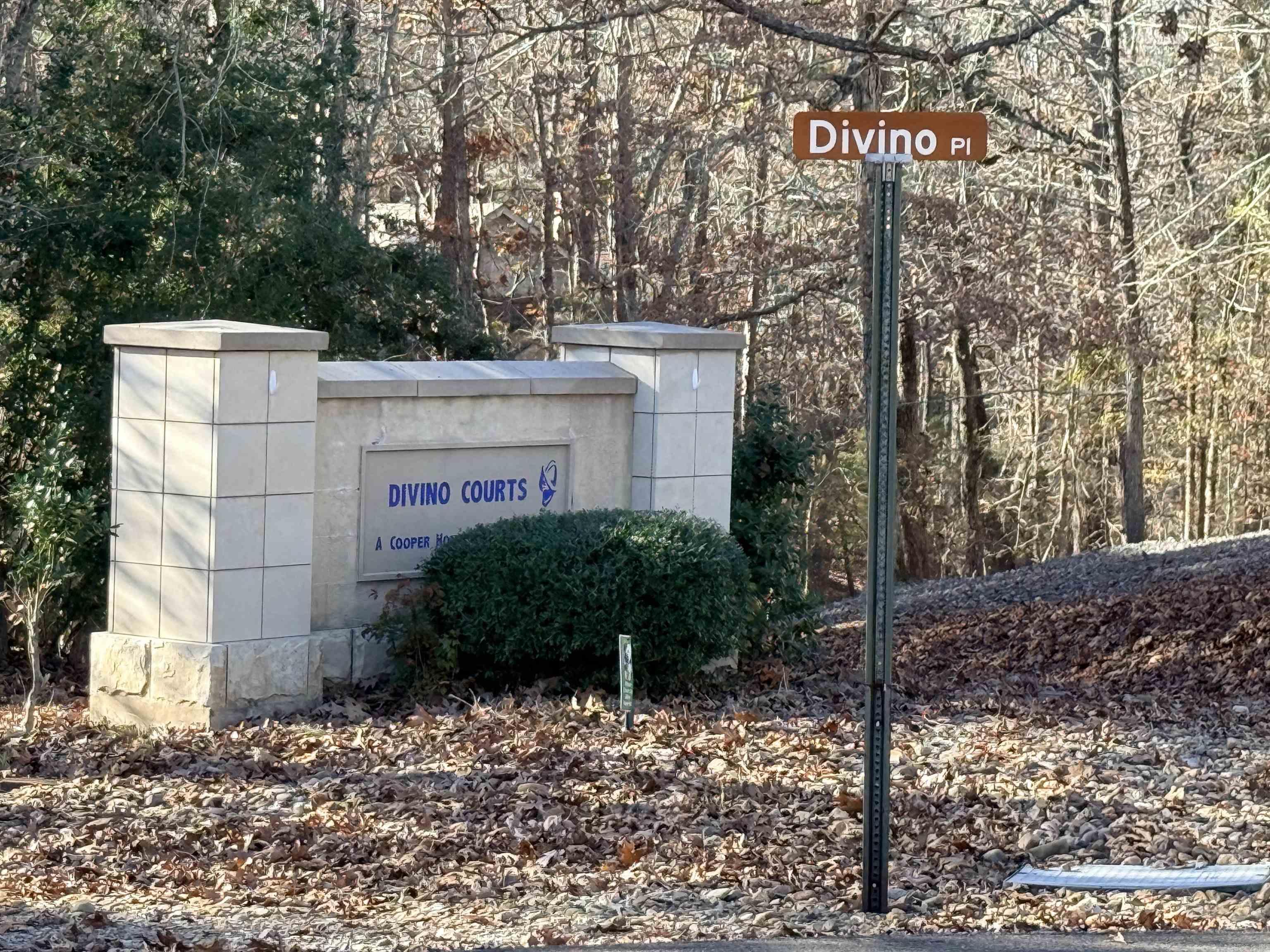 00 Divino  Hot Springs Village, AR