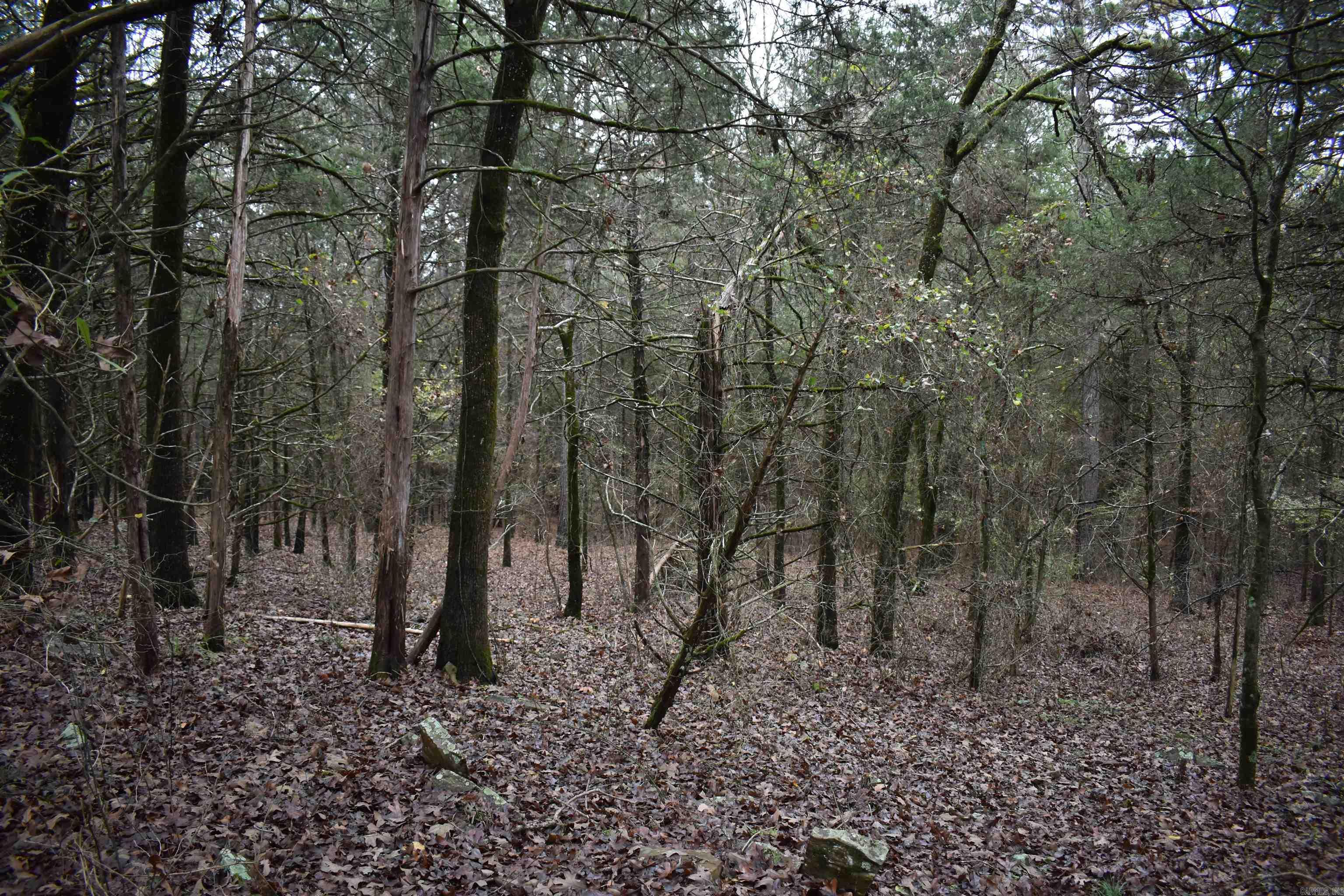 0000 County Line Road  Booneville, AR