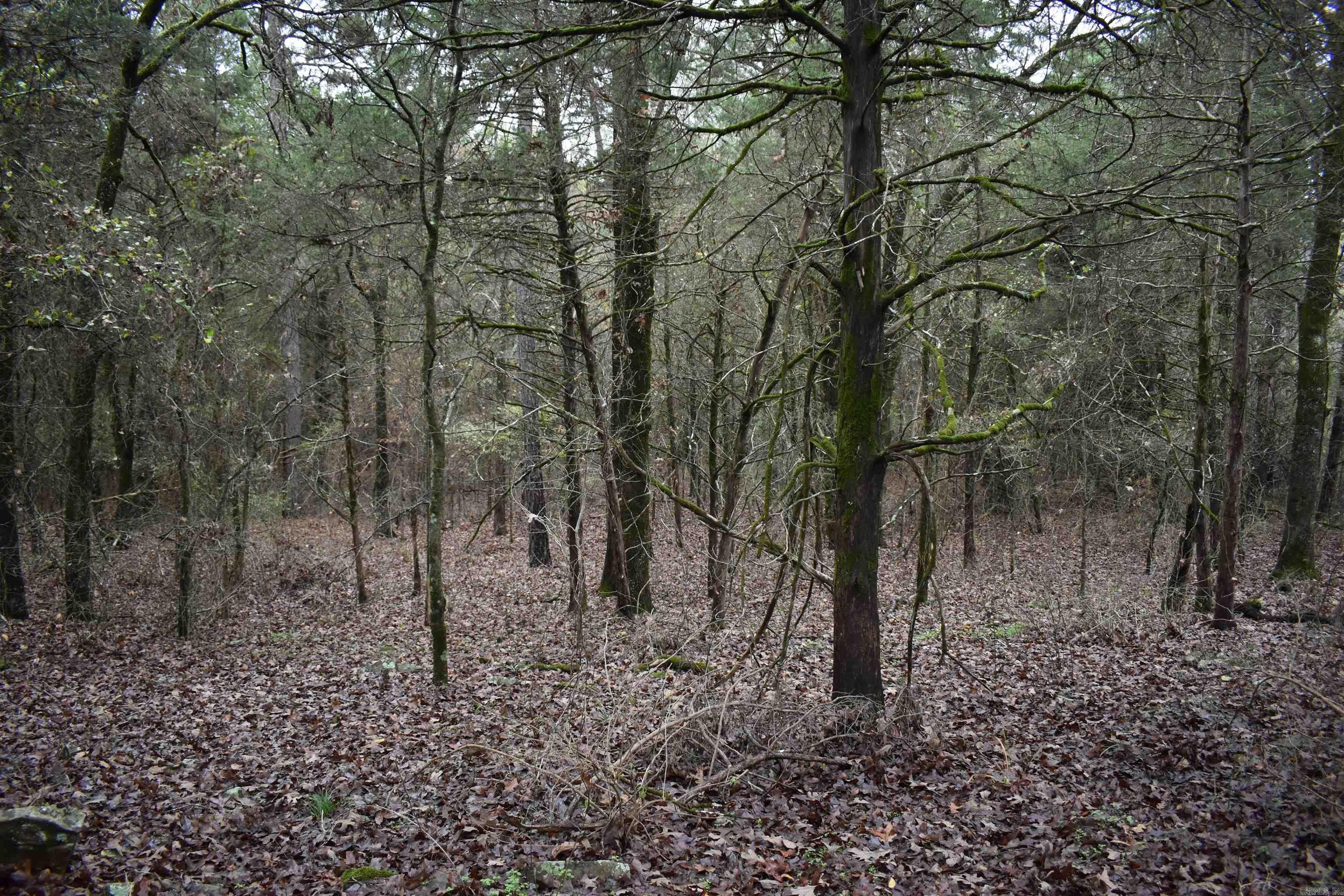 0000 County Line Road  Booneville, AR