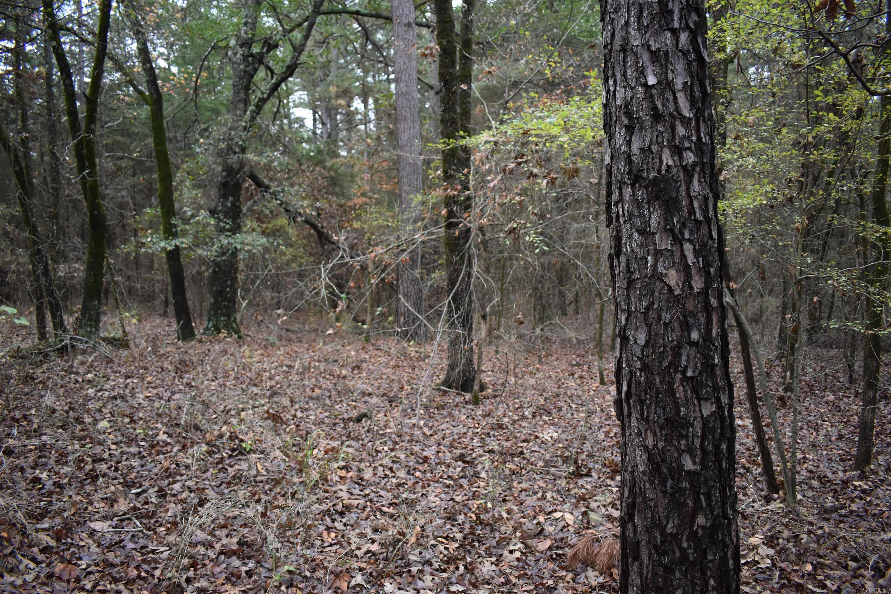 0000 County Line Road  Booneville, AR