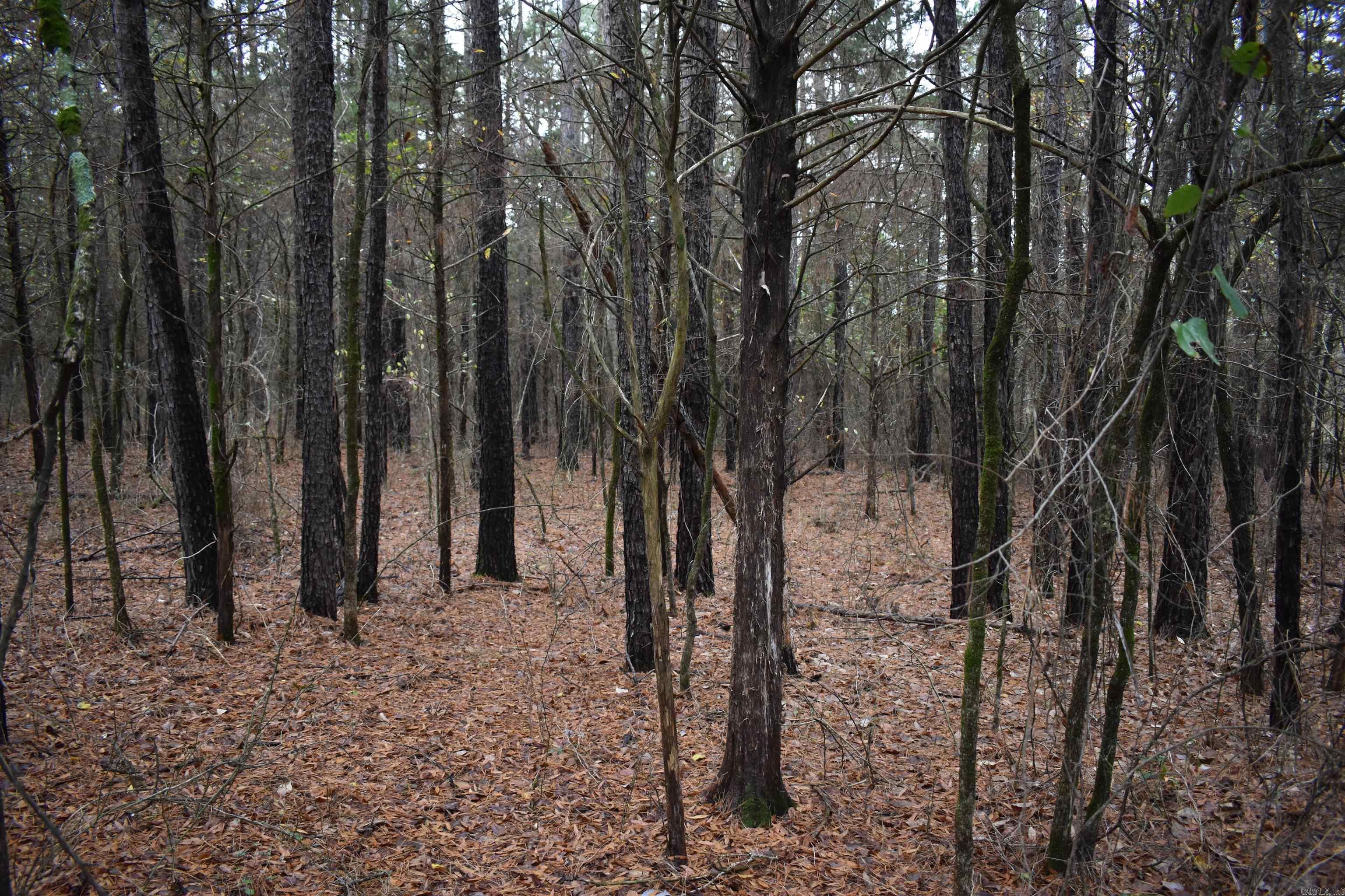 0000 County Line Road  Booneville, AR