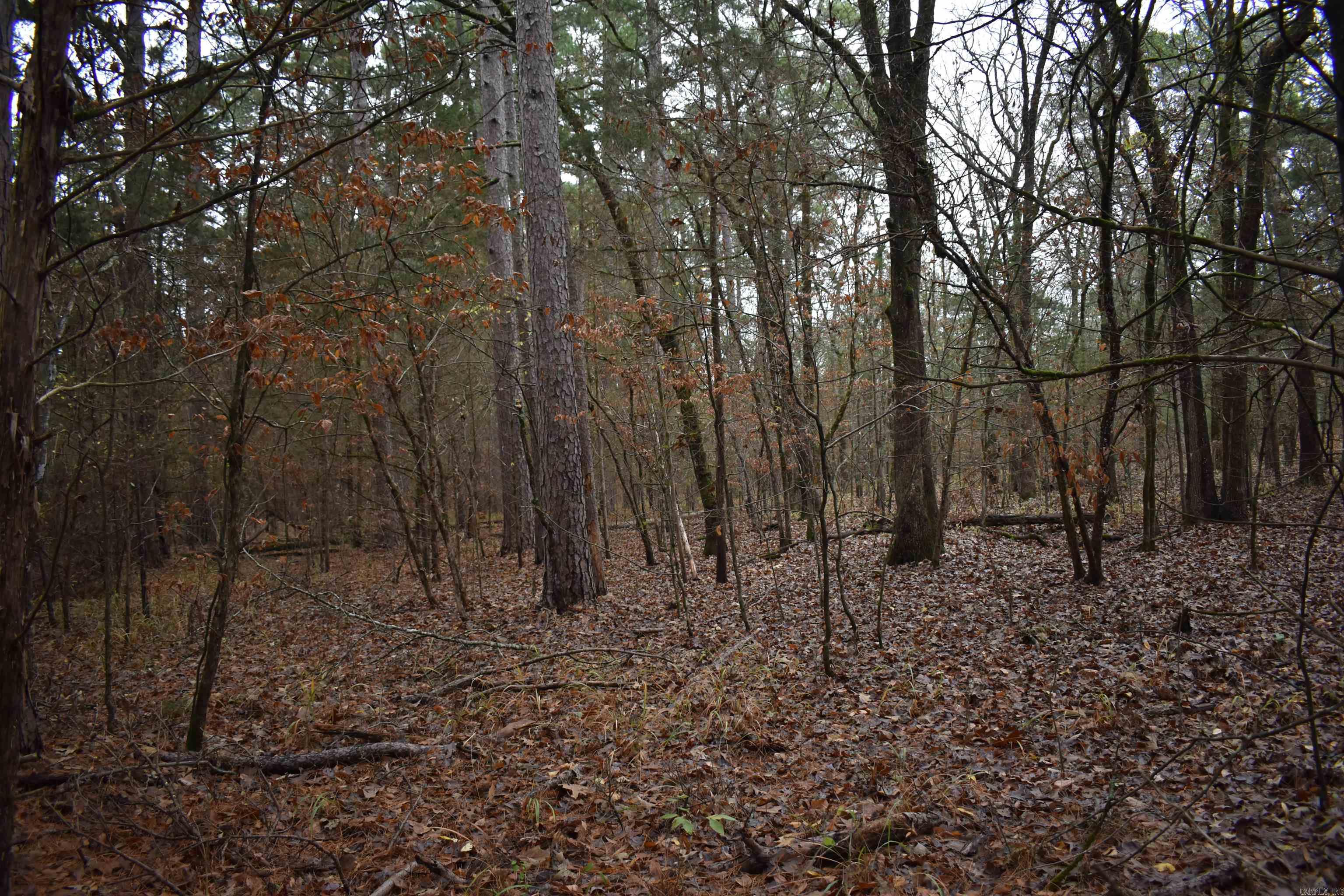 0000 County Line Road  Booneville, AR