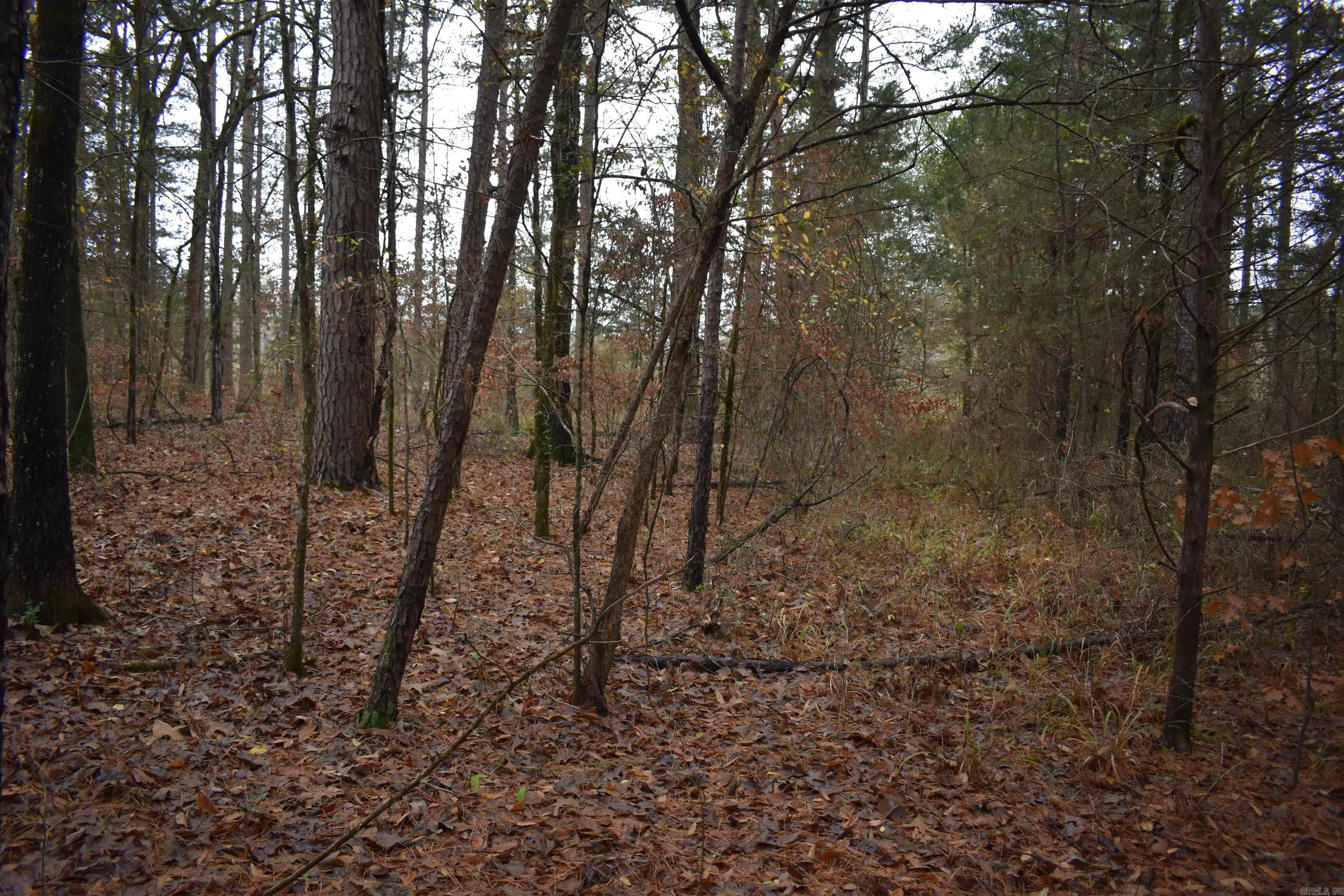 0000 County Line Road  Booneville, AR