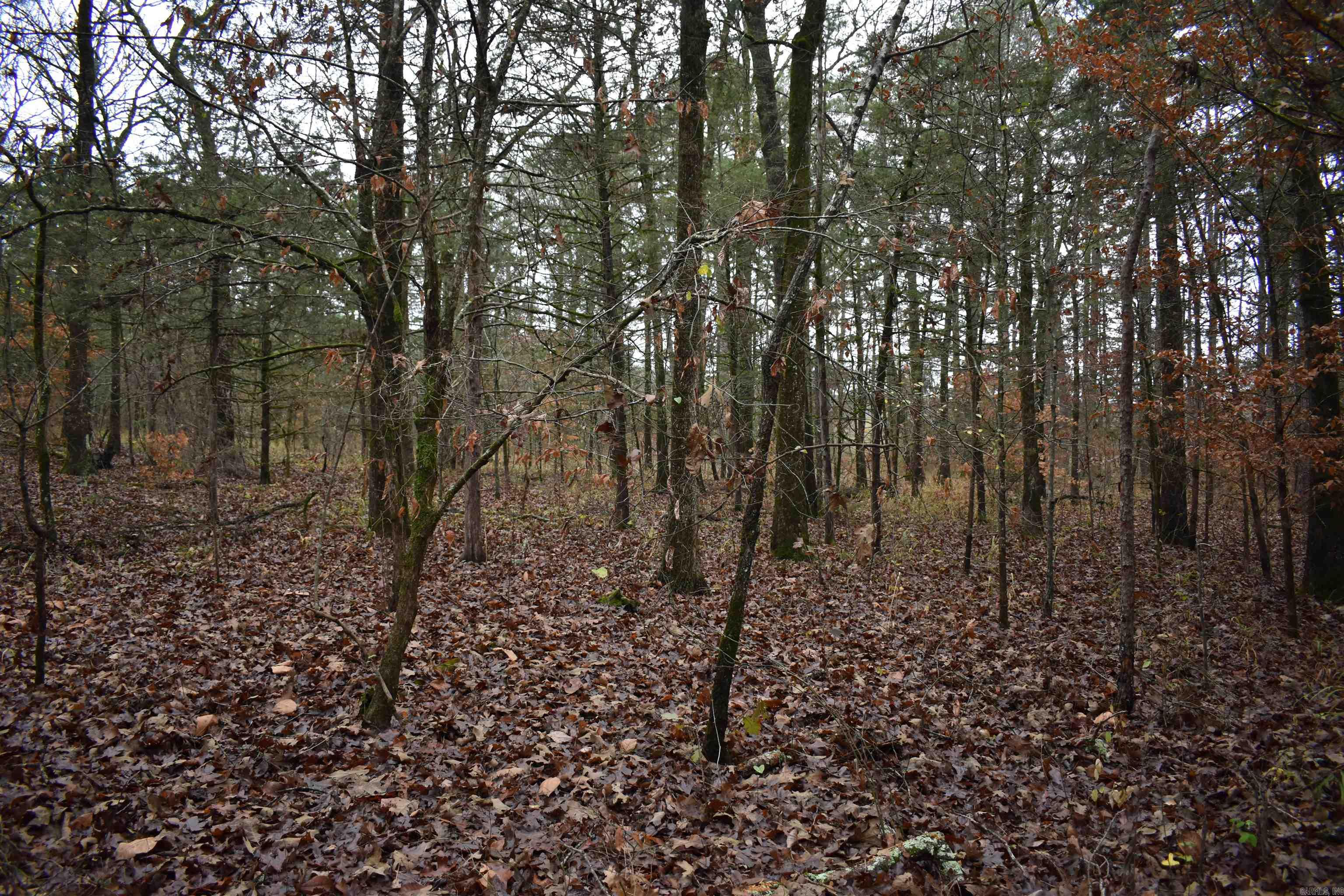 0000 County Line Road  Booneville, AR