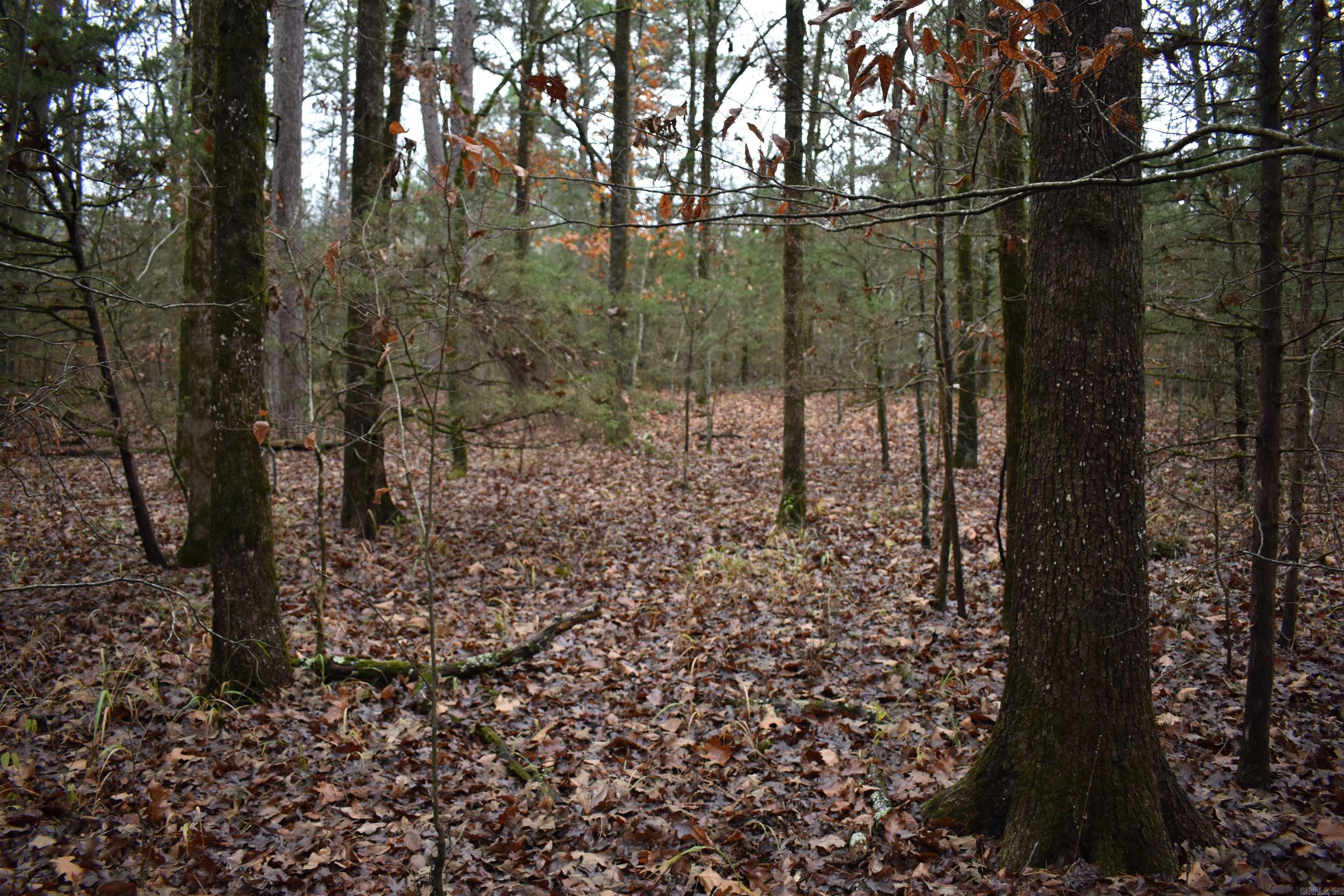 0000 County Line Road  Booneville, AR