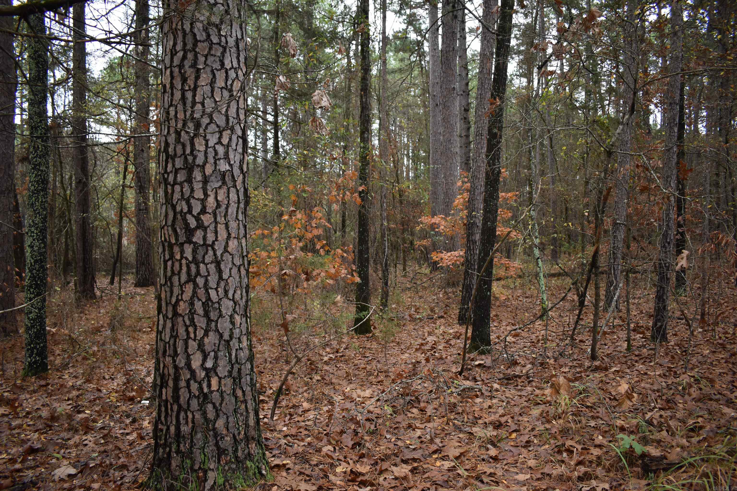 0000 County Line Road  Booneville, AR