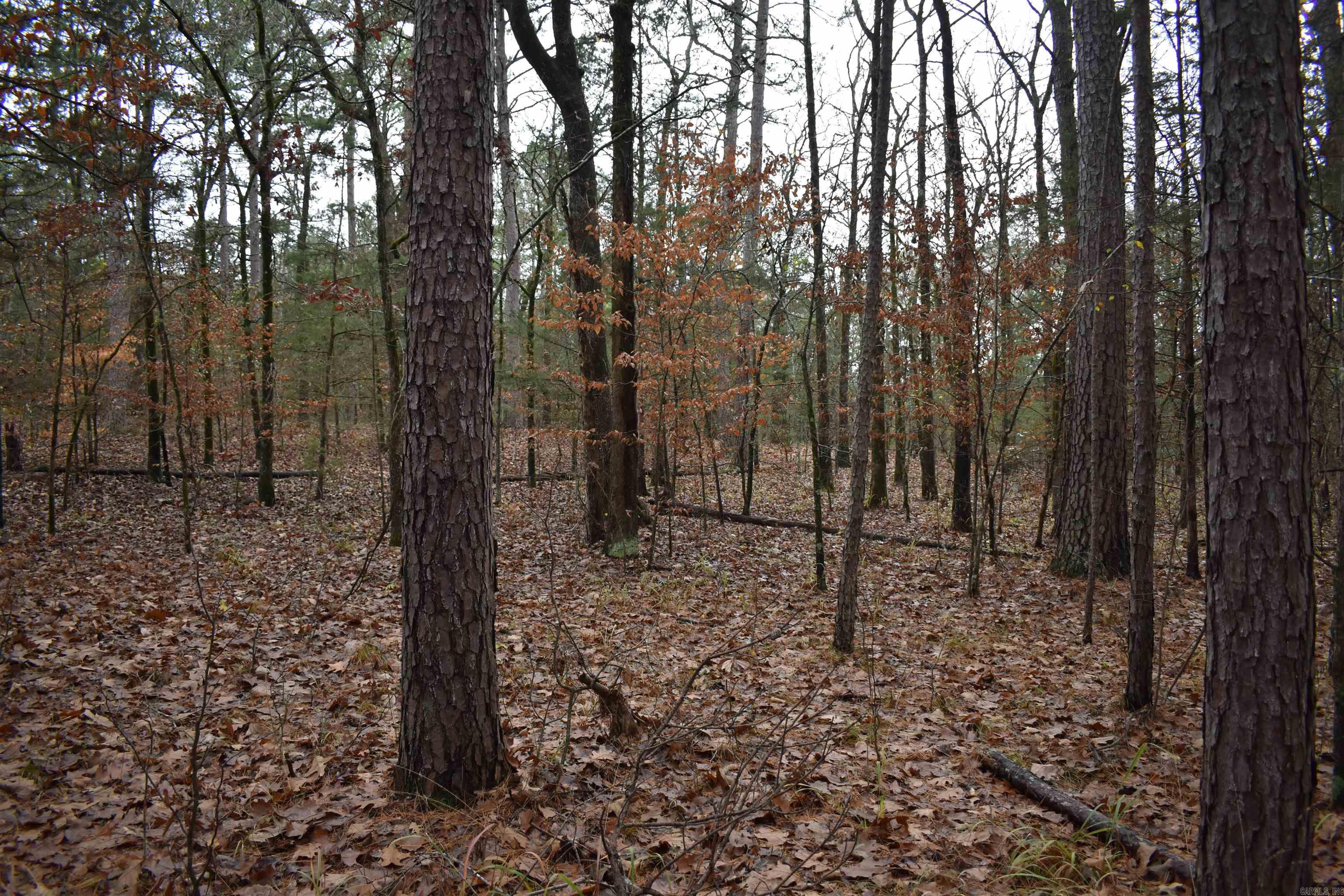 0000 County Line Road  Booneville, AR