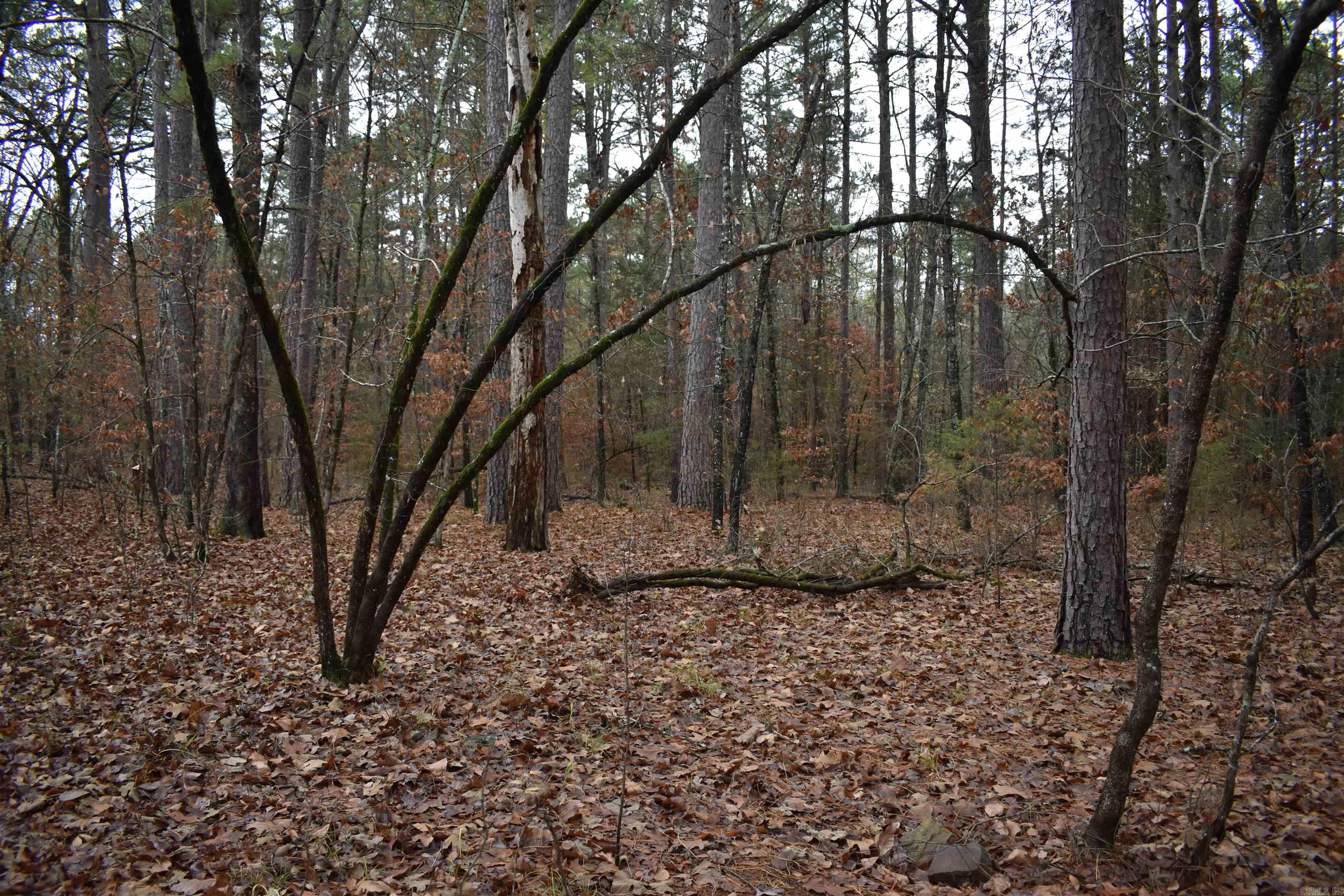 0000 County Line Road  Booneville, AR