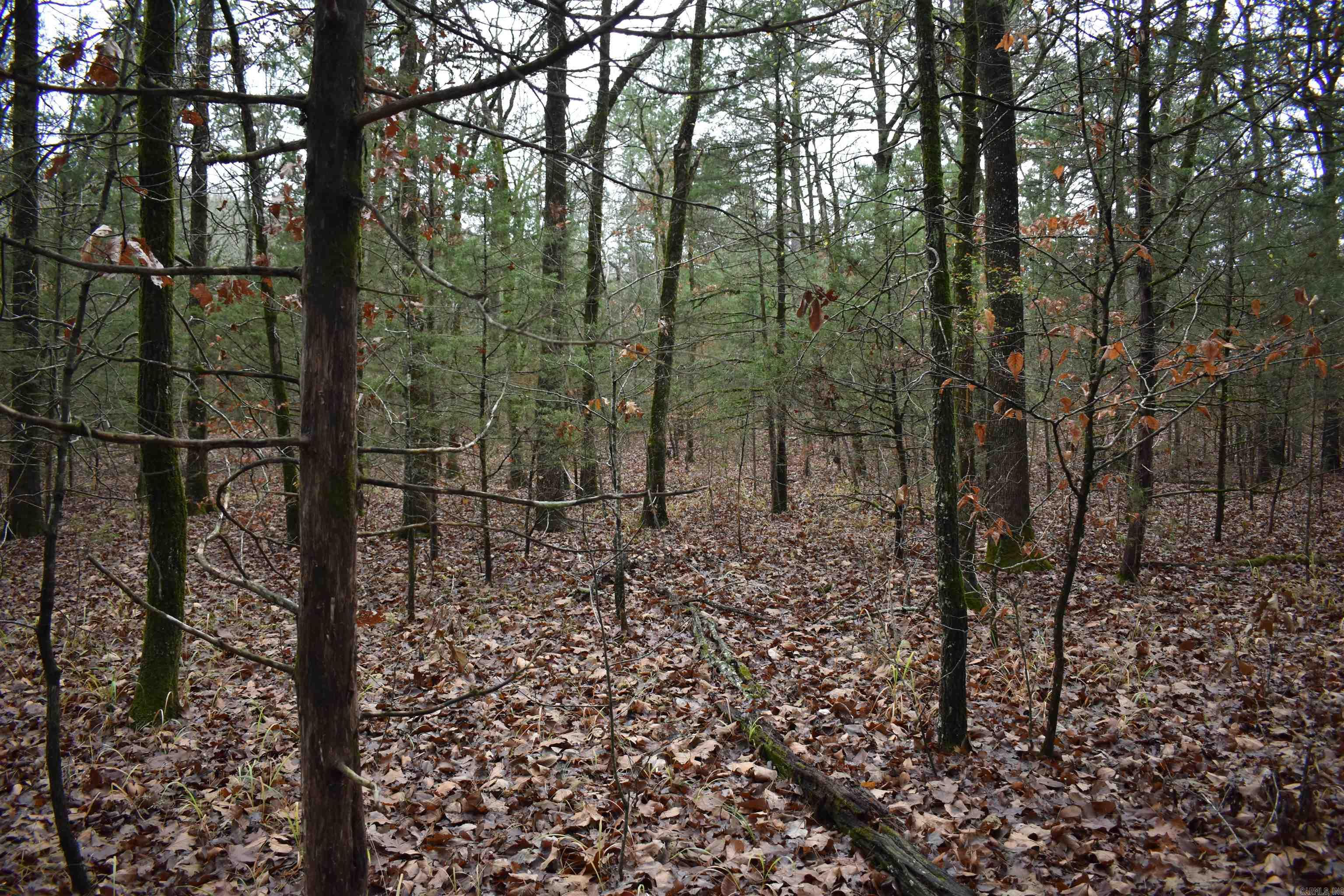 0000 County Line Road  Booneville, AR