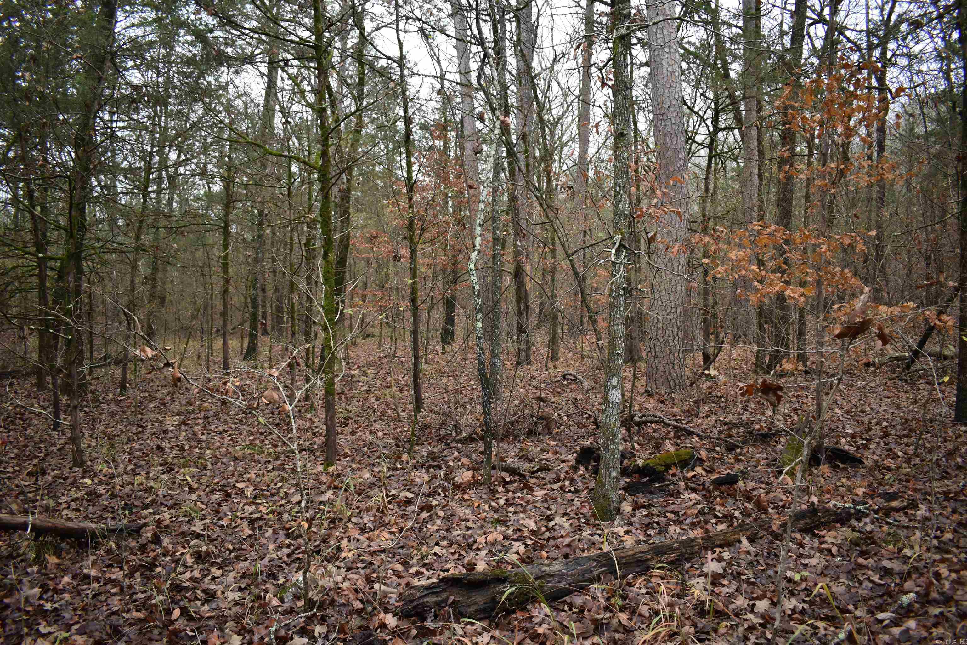 0000 County Line Road  Booneville, AR