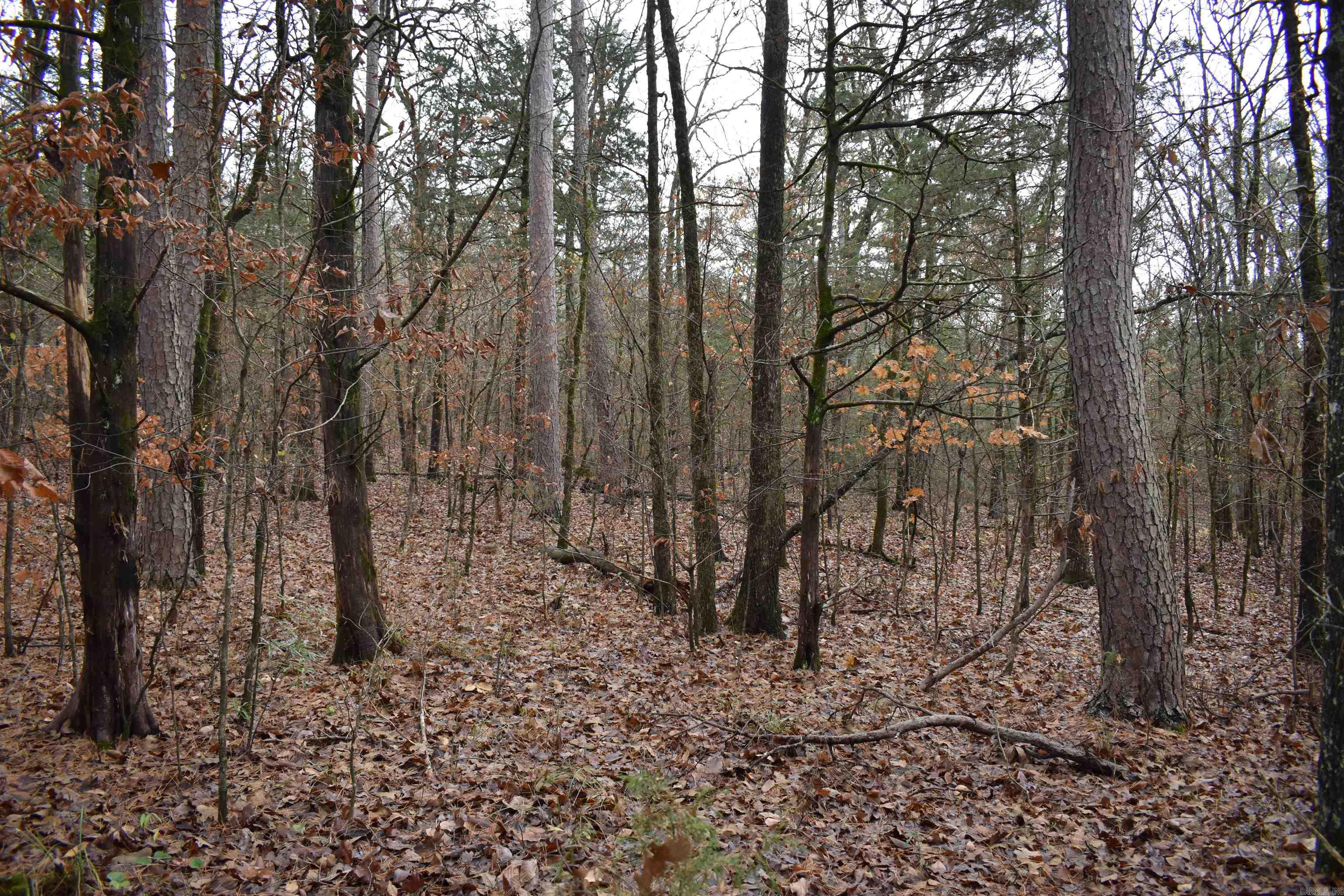 0000 County Line Road  Booneville, AR