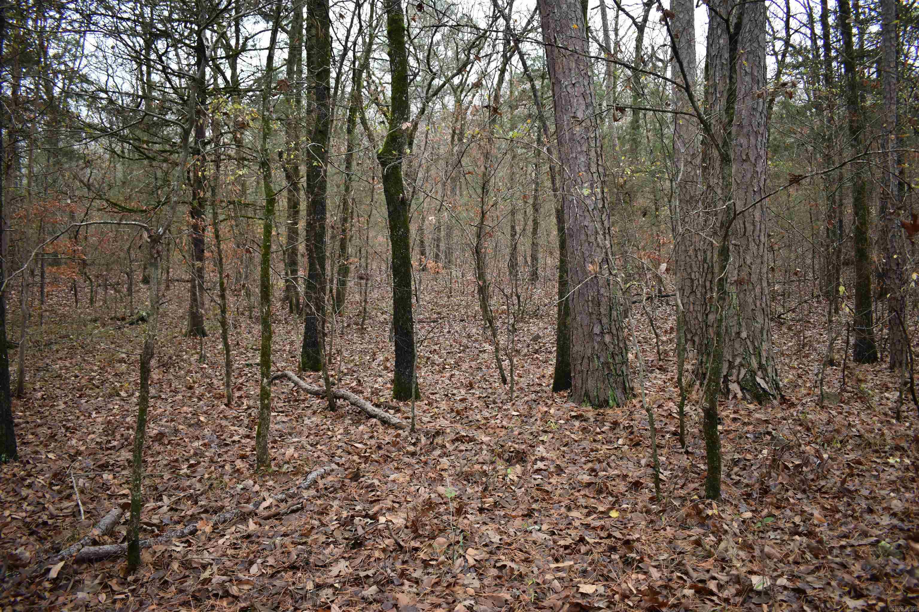 0000 County Line Road  Booneville, AR