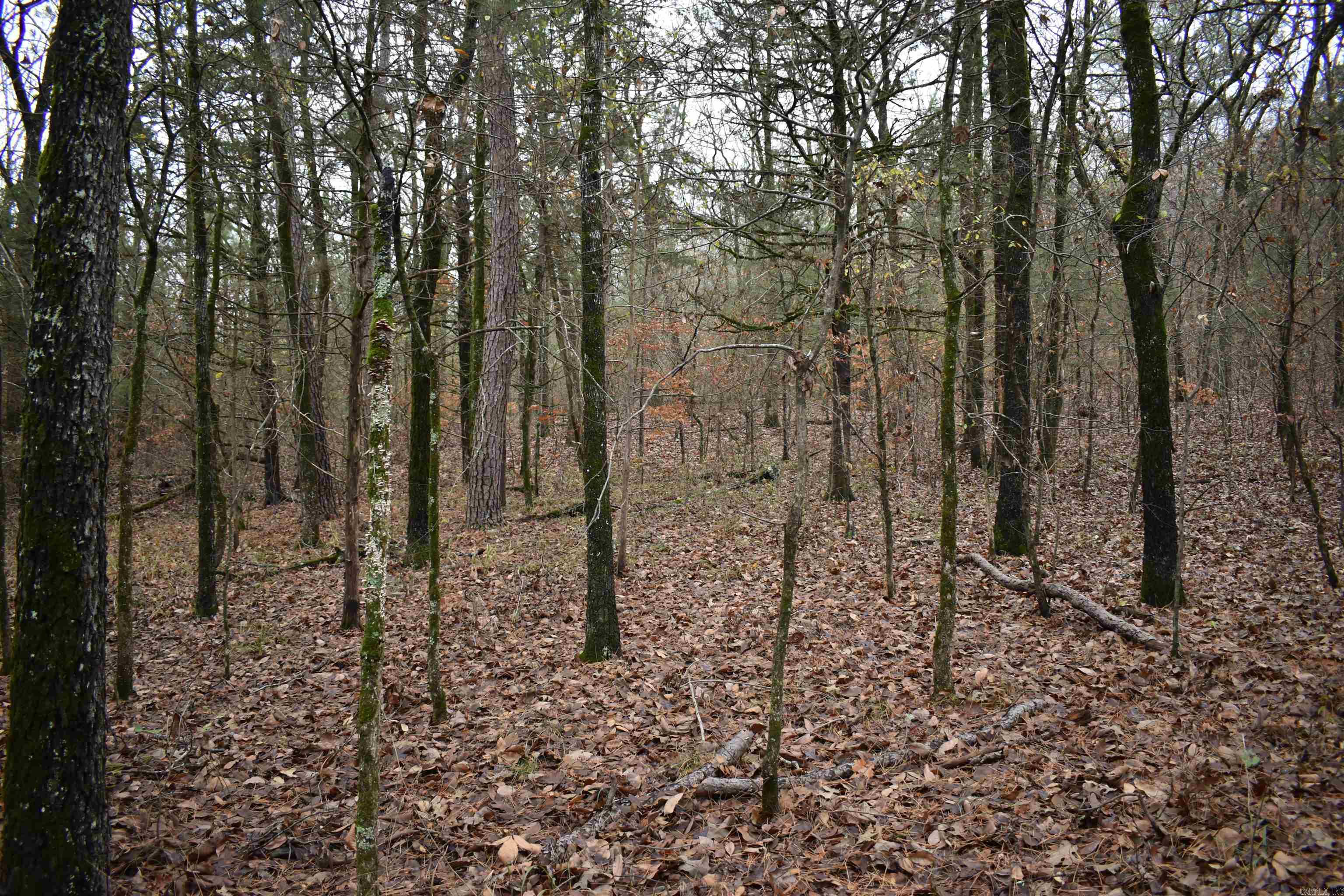 0000 County Line Road  Booneville, AR