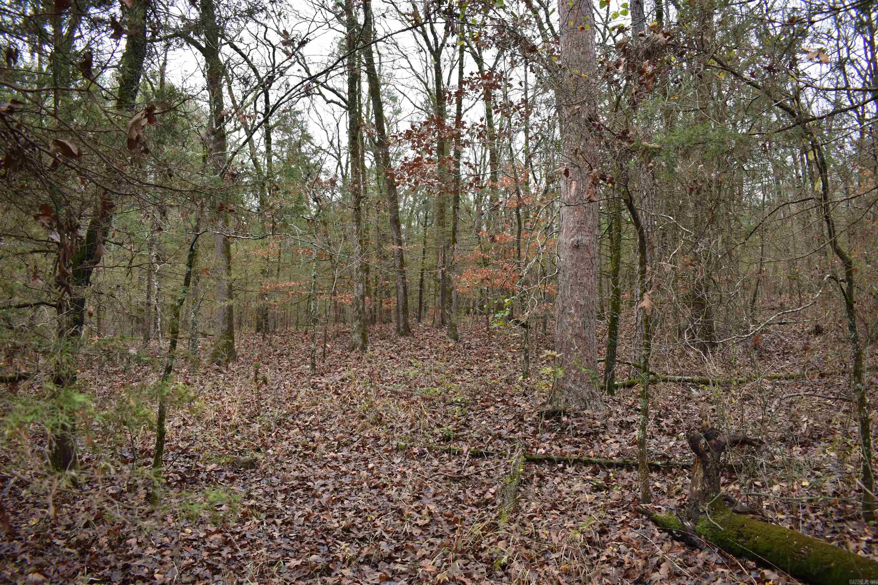 0000 County Line Road  Booneville, AR